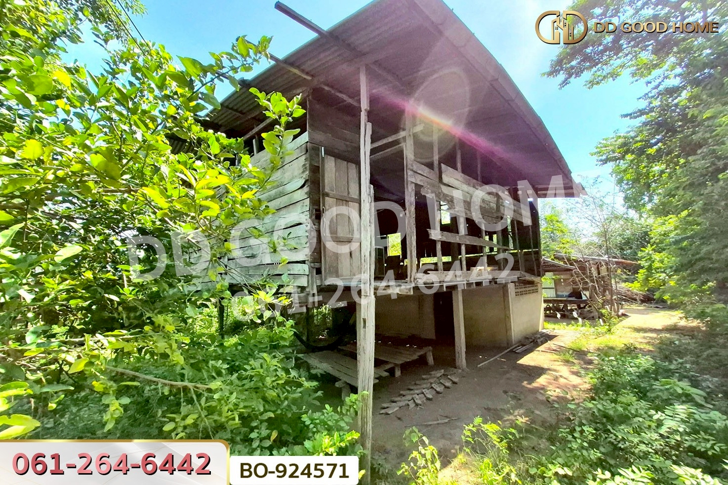 BO-924571 ที่ดินโนนไทย 220.6 ตร.ว. นครราชสีมา ใกล้ที่ว่าการอำเภอโนนไทย