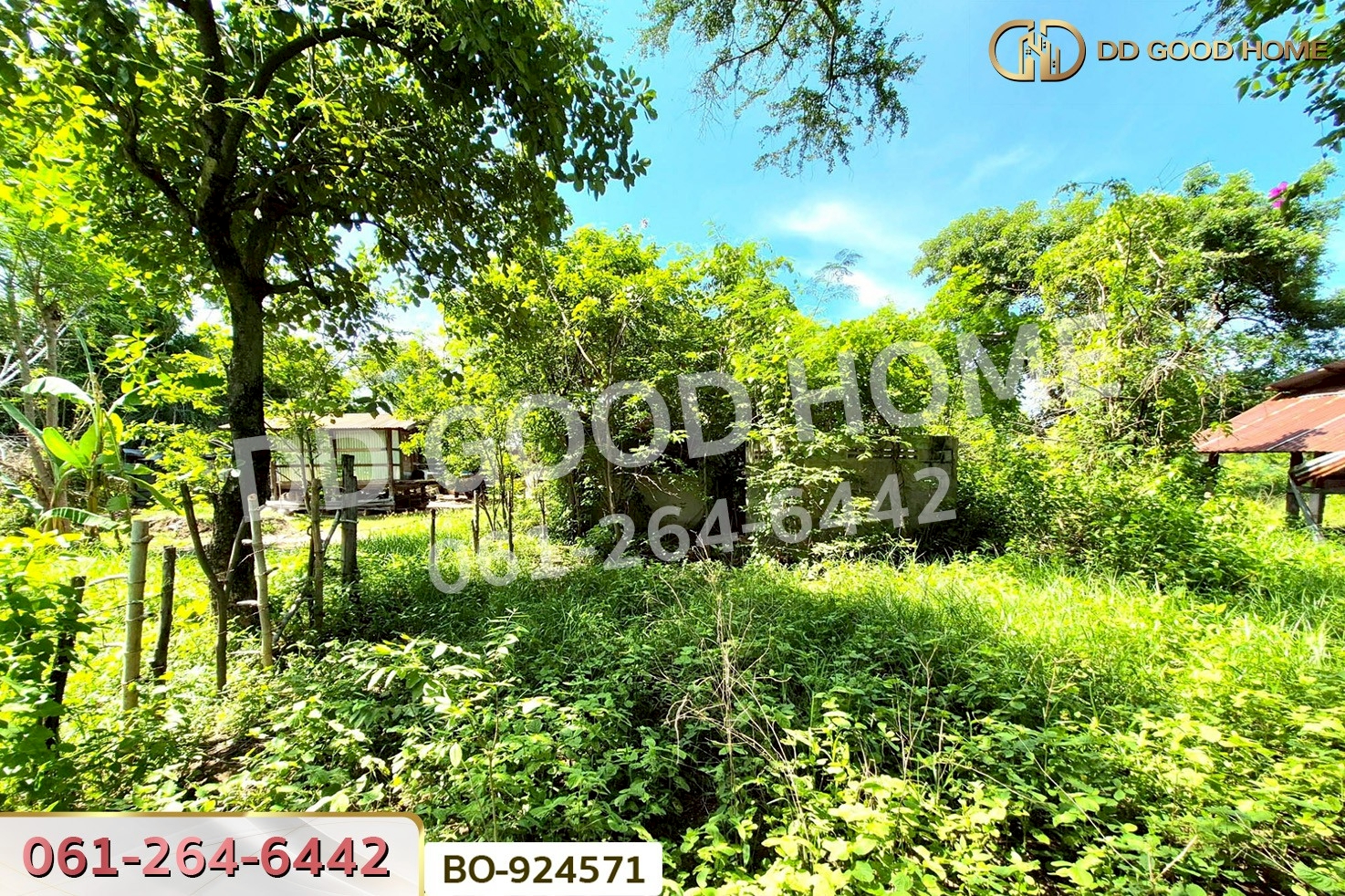 BO-924571 ที่ดินโนนไทย 220.6 ตร.ว. นครราชสีมา ใกล้ที่ว่าการอำเภอโนนไทย