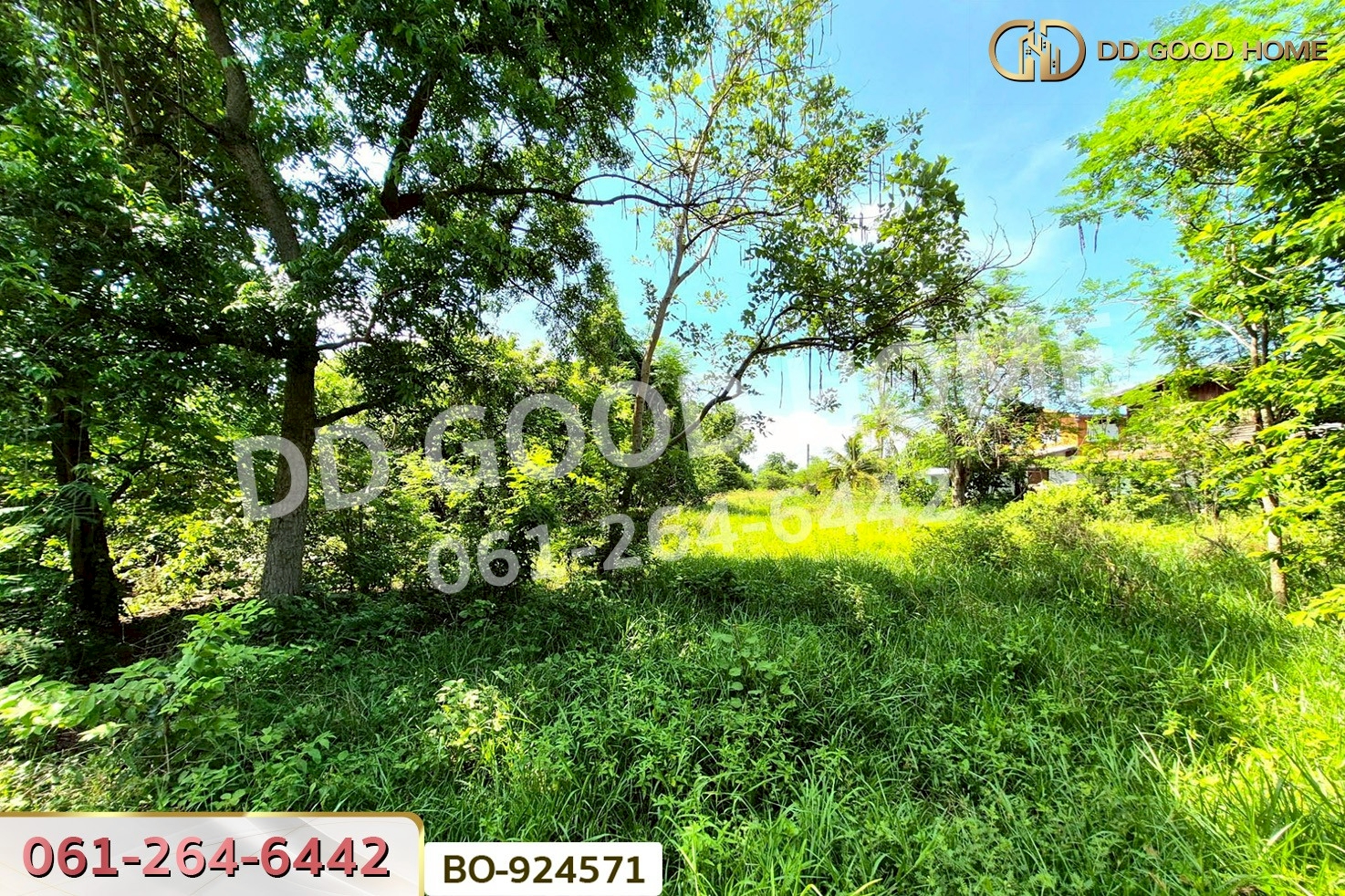 BO-924571 ที่ดินโนนไทย 220.6 ตร.ว. นครราชสีมา ใกล้ที่ว่าการอำเภอโนนไทย