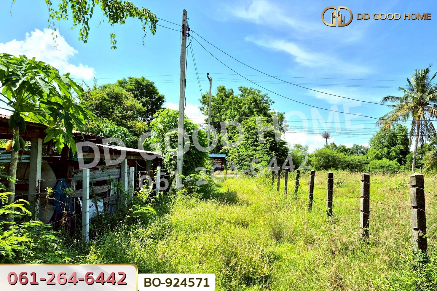 BO-924571 ที่ดินโนนไทย 220.6 ตร.ว. นครราชสีมา ใกล้ที่ว่าการอำเภอโนนไทย