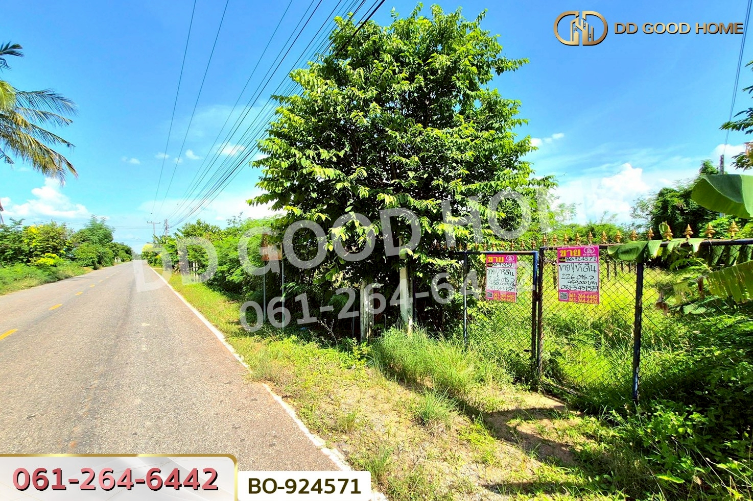 BO-924571 ที่ดินโนนไทย 220.6 ตร.ว. นครราชสีมา ใกล้ที่ว่าการอำเภอโนนไทย