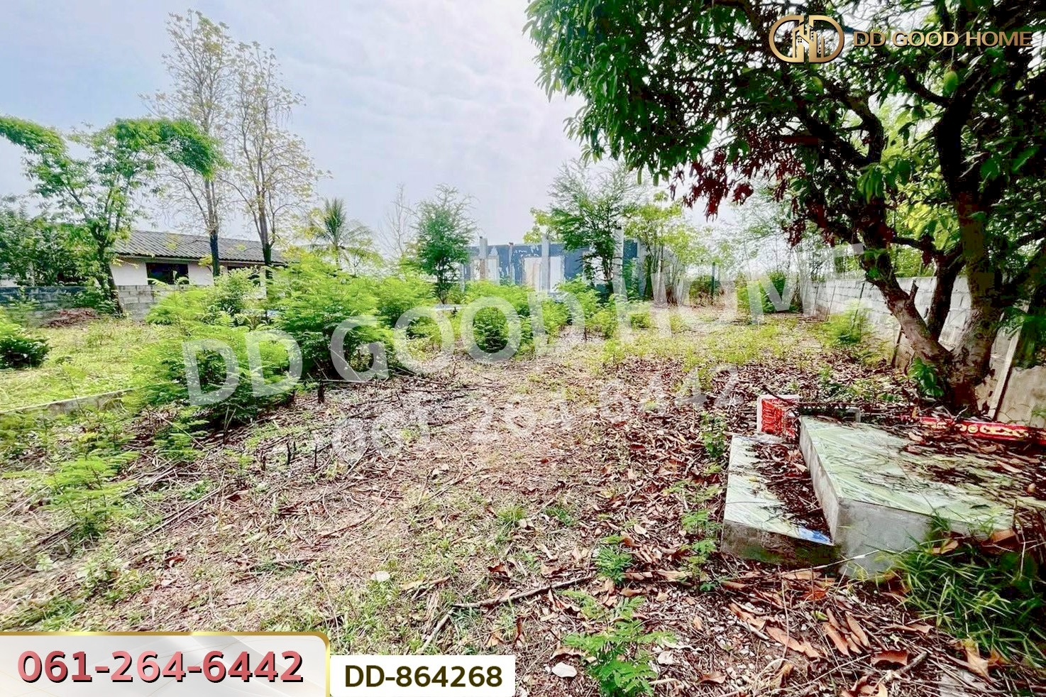 DD-864268 ที่ดินเขาสวนกวาง 211 ตร.ว. ขอนแก่น ใกล้โรงพยาบาลเขาสวนกวาง