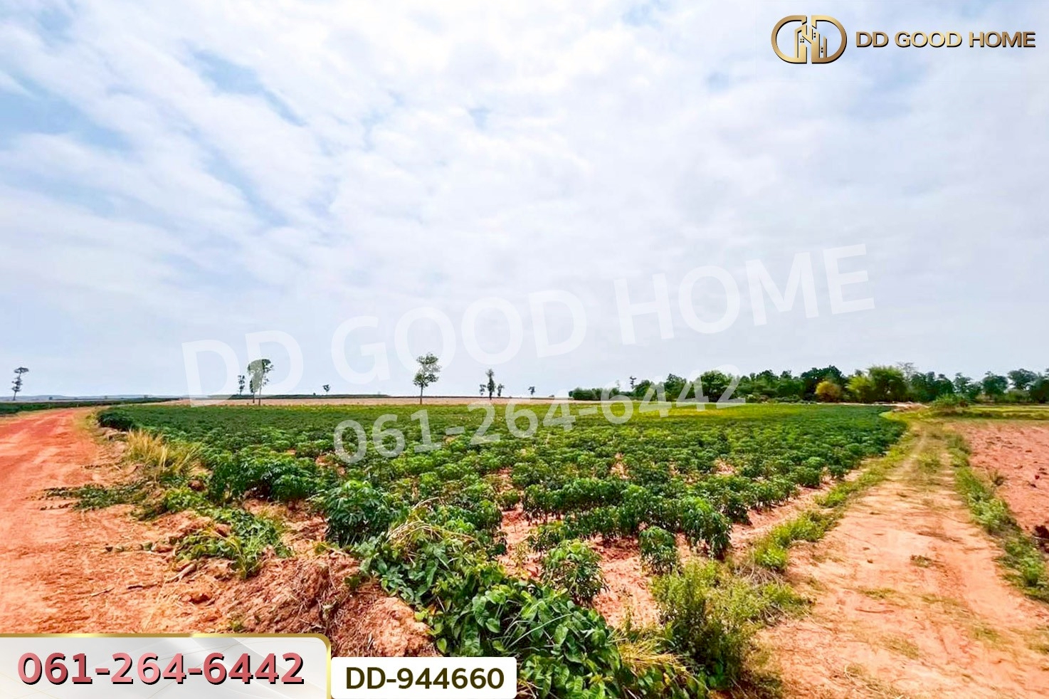DD-944660 ที่ดินโนนสะอาด 11 ไร่ 349 ตร.ว. อุดรธานี ใกล้โรงเรียนบ้านหนองโก