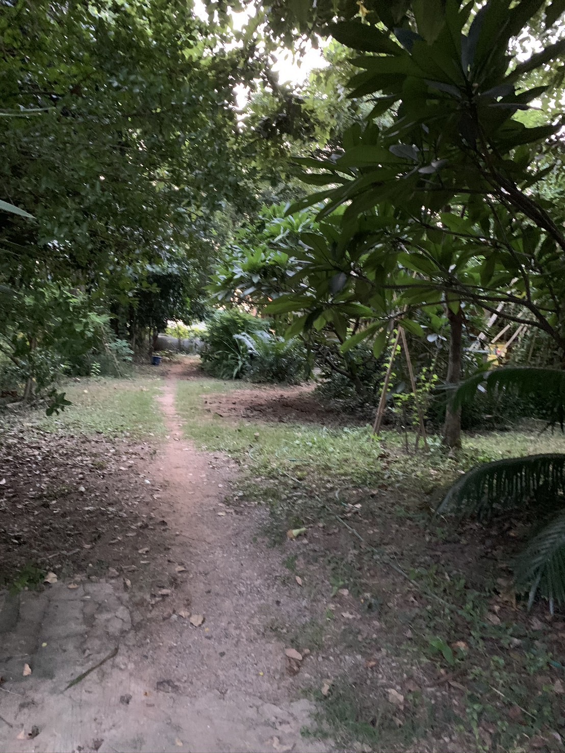 ขายบ้านเดี่ยว  1 ชั้น  ทำเลดี  อำเภอวังทอง  จ.พิษณุโลก