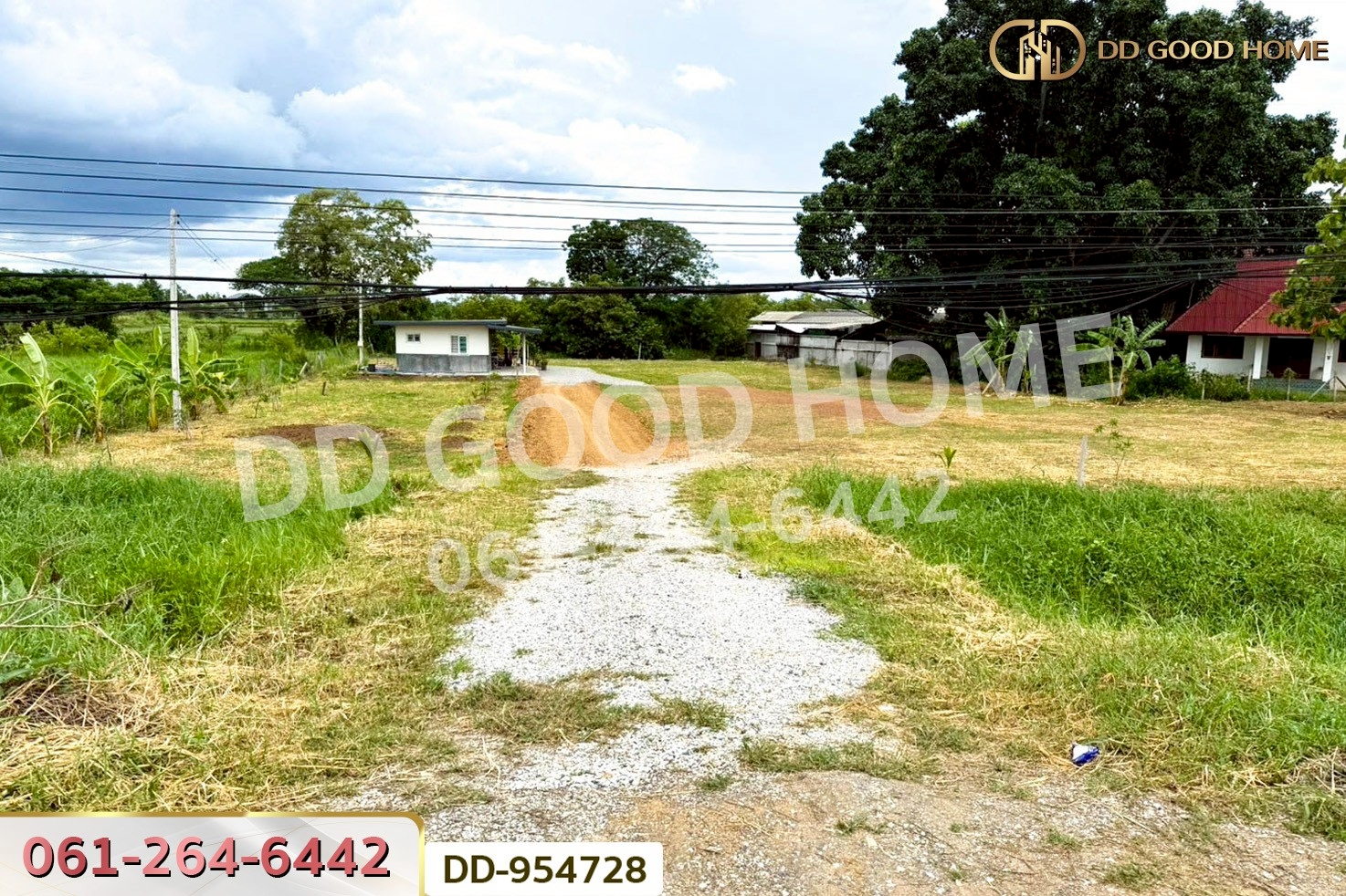 DD-954728 ที่ดินเมืองลำพูน 1 ไร่ 236 ตร.ว. ลำพูน ใกล้โกลบอลเฮ้าส์