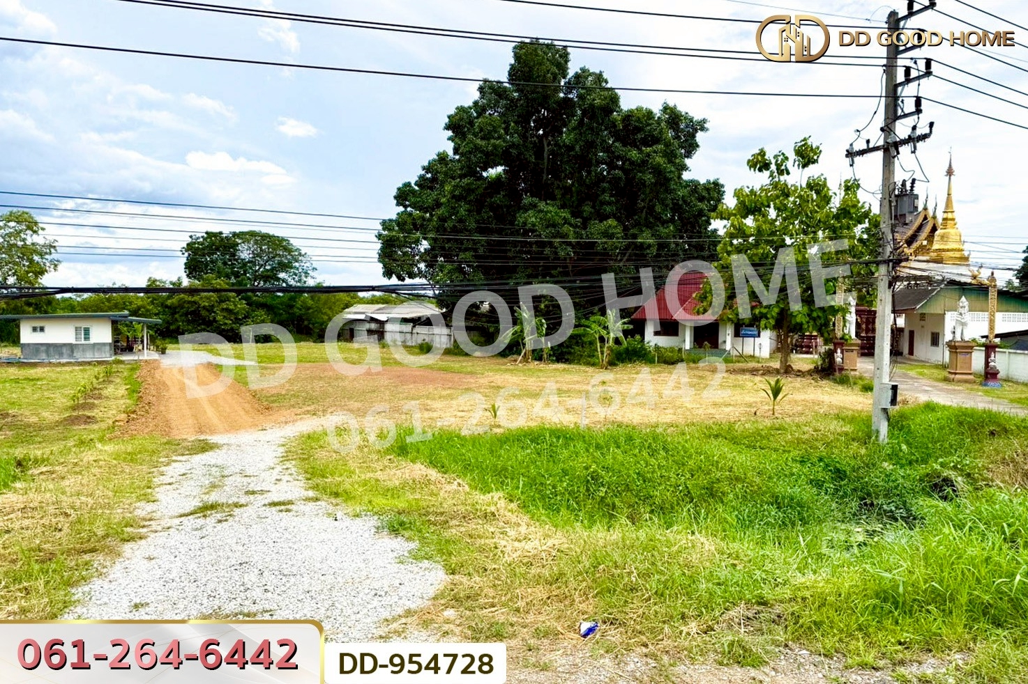 DD-954728 ที่ดินเมืองลำพูน 1 ไร่ 236 ตร.ว. ลำพูน ใกล้โกลบอลเฮ้าส์
