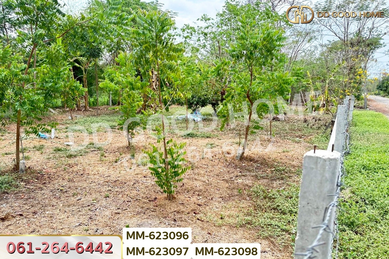 MM-623096 ที่ดินธัญบุรี 180 ตร.ว. หมู่บ้านทิพย์ธิดาแลนด์ 2 คลอง 11 ปทุมธานี ใกล้องค์การเภสัชกรรมธัญบุรี