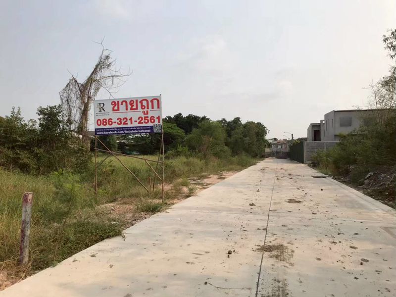 ขายที่ดินติดถนน ทำเลดี เพิ่มสิน 66 ซอยออเงิน จังหวัดกรุงเทพมหานคร 