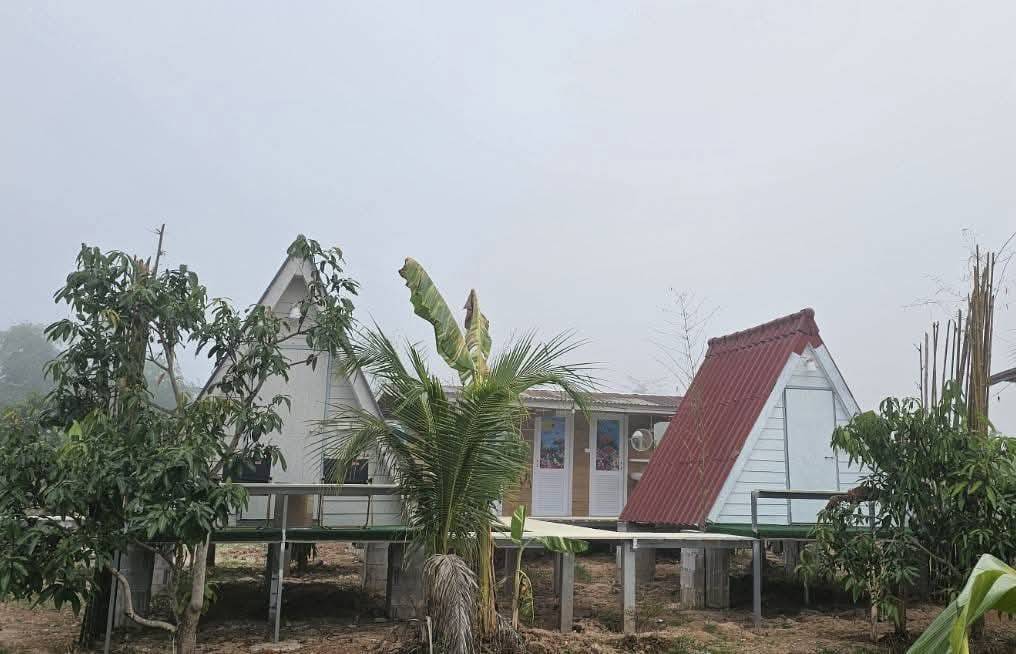 ขายที่ดินเชียงคานพร้อมโฮมสเตย์ ตำบลบุฮม อำเภอเชียงคาน จังหวัดเลย