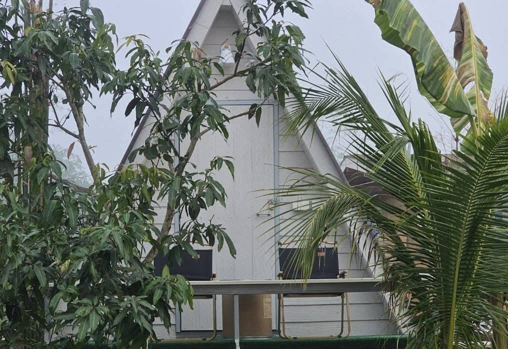 ขายที่ดินเชียงคานพร้อมโฮมสเตย์ ตำบลบุฮม อำเภอเชียงคาน จังหวัดเลย