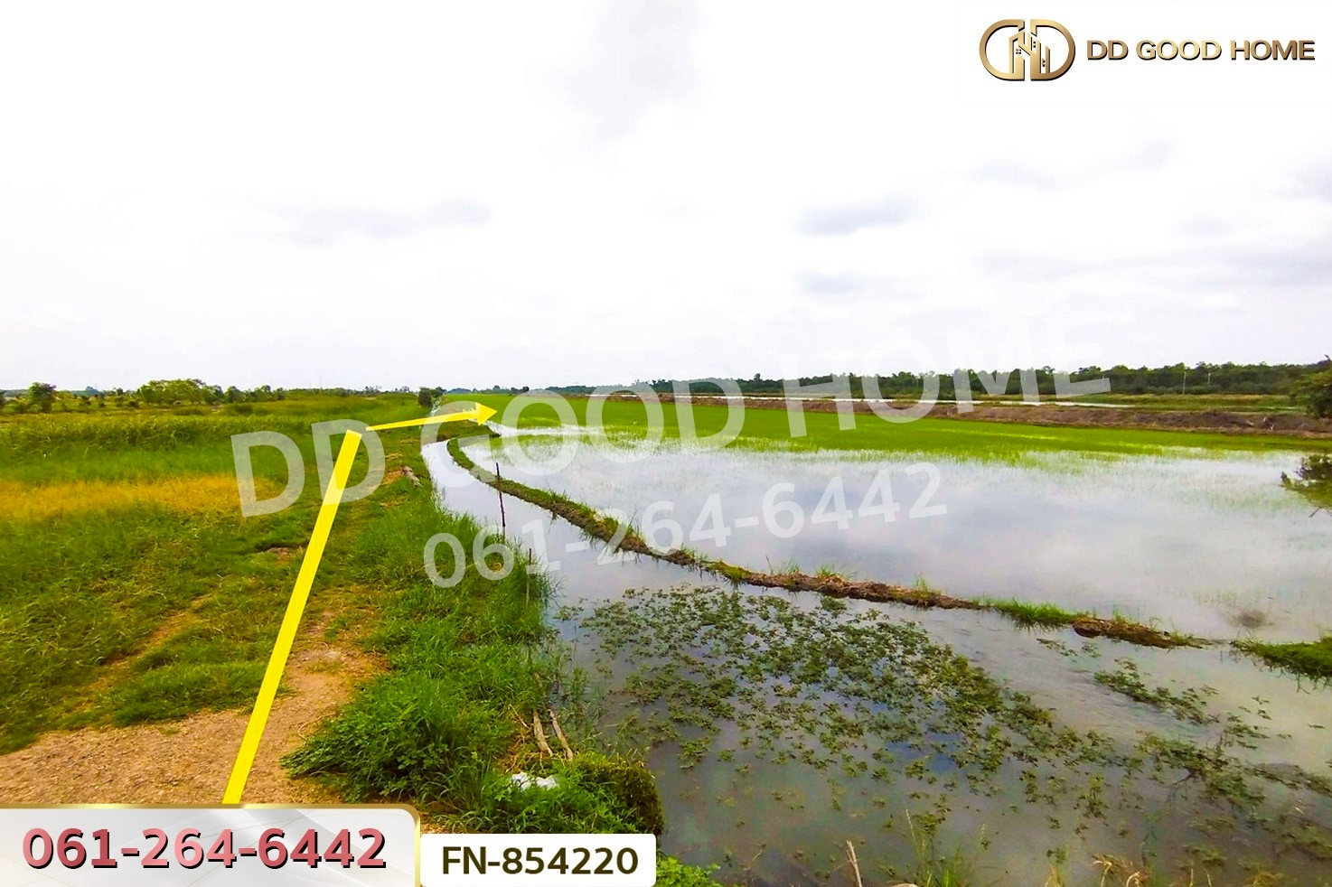 FN-854220 ที่ดินลำลูกกาคลอง 11 ปทุมธานี 4 ไร่ 237.3 ตร.ว. ใกล้สนามกอล์ฟลำลูกกาคันทรีคลับ