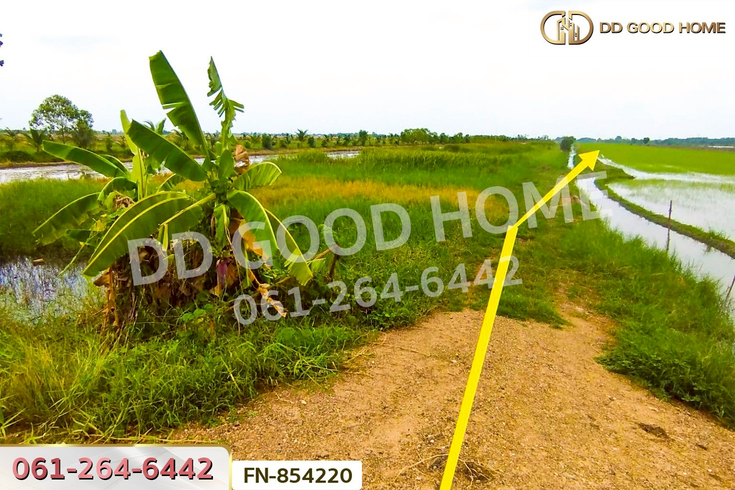 FN-854220 ที่ดินลำลูกกาคลอง 11 ปทุมธานี 4 ไร่ 237.3 ตร.ว. ใกล้สนามกอล์ฟลำลูกกาคันทรีคลับ