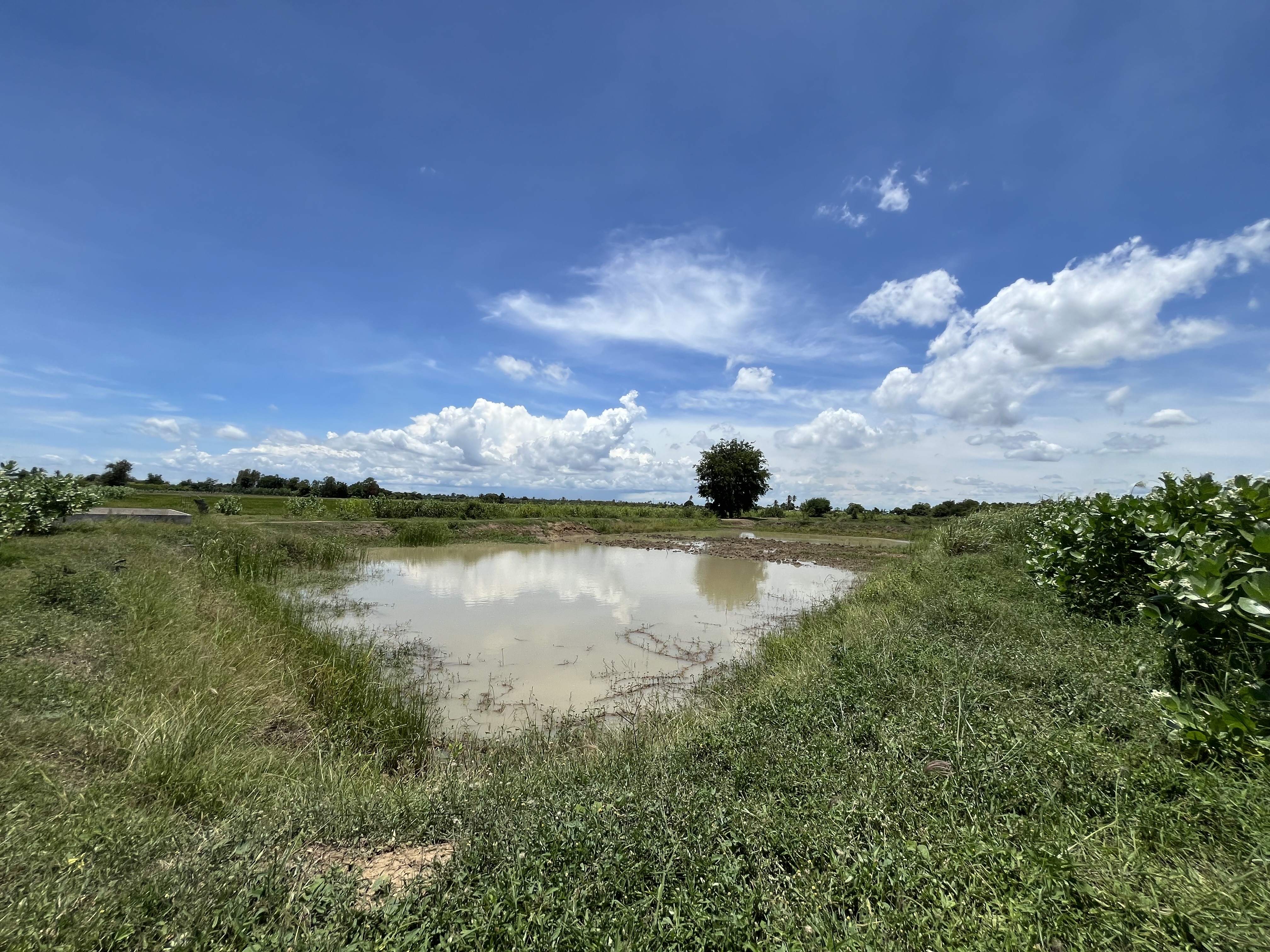 ขายที่ดินเปล่าติดถนน วิวบึงควง อำเภอศรีประจันต์ จังหวัดสุพรรณบุรี