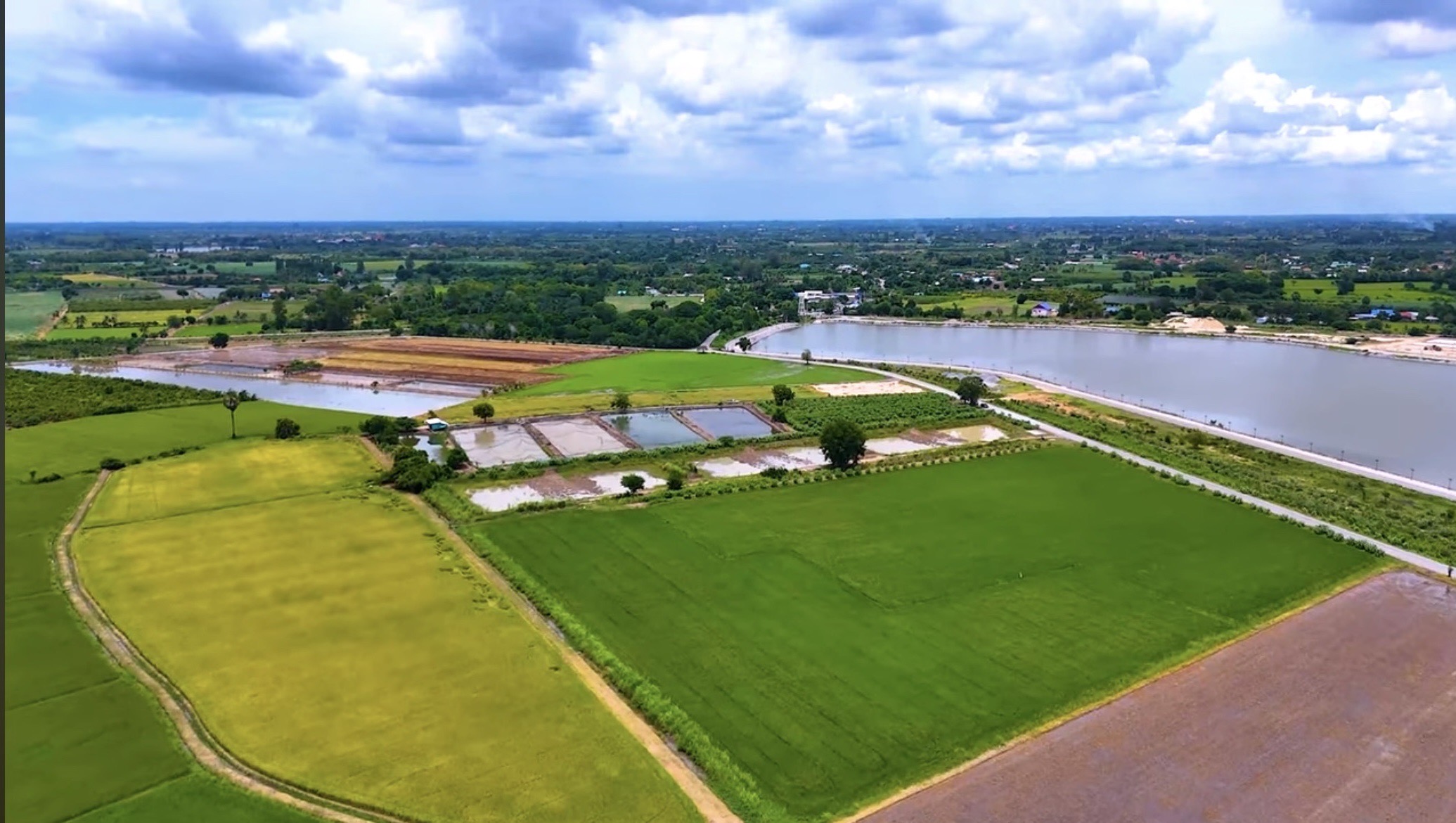 ขายที่ดินเปล่าติดถนน วิวบึงควง อำเภอศรีประจันต์ จังหวัดสุพรรณบุรี