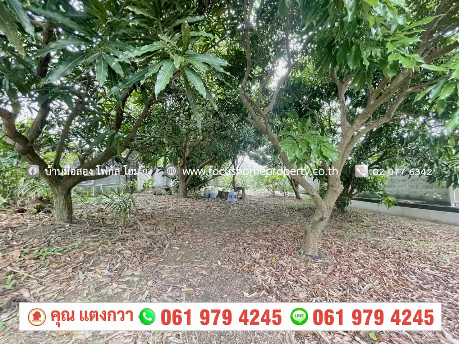 ขาย ที่ดิน 200 ตารางวา ใกล้หมู่บ้าน ชลลดา วัดลาดปลาดุก