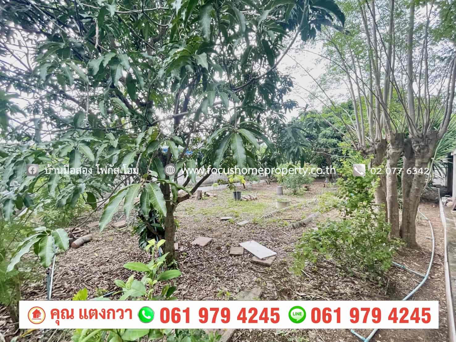 ขาย ที่ดิน 200 ตารางวา ใกล้หมู่บ้าน ชลลดา วัดลาดปลาดุก