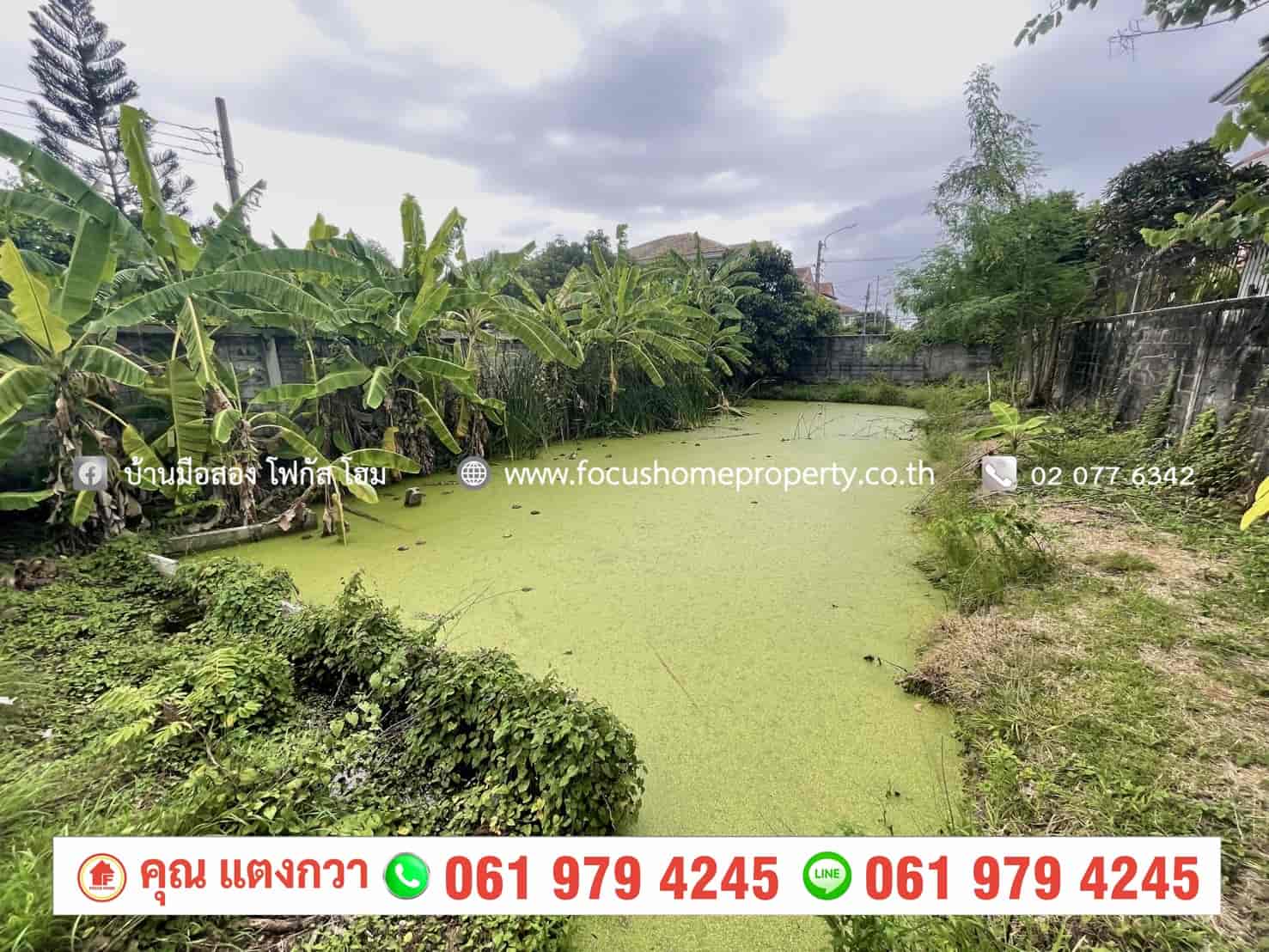 ขาย ที่ดิน 200 ตารางวา ใกล้หมู่บ้าน ชลลดา วัดลาดปลาดุก