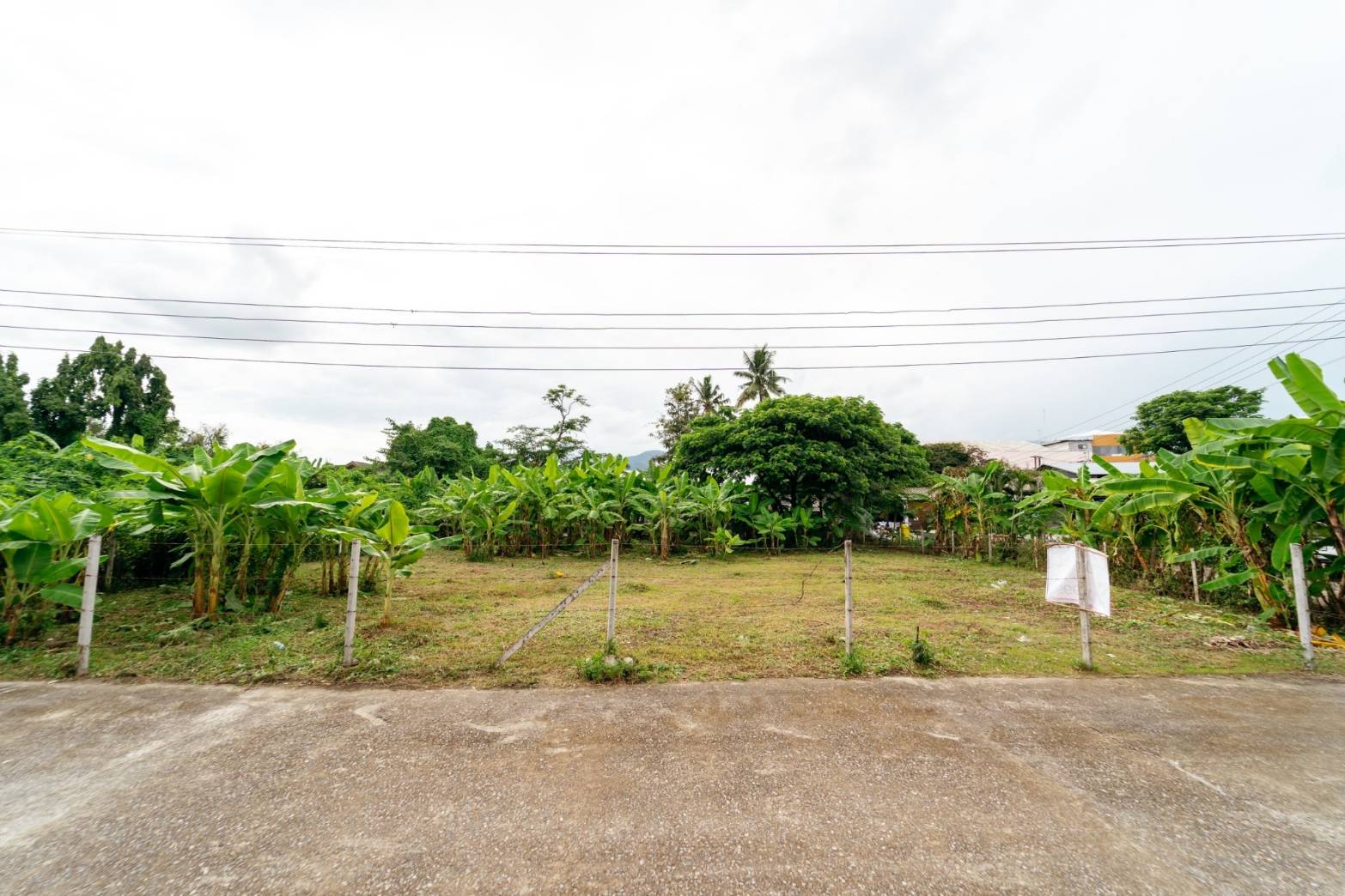 ขายที่ดิน ทำเลทอง ใจกลางคูเมืองเชียงใหม่ พร้อมรถไฟฟ้าในอนาคต