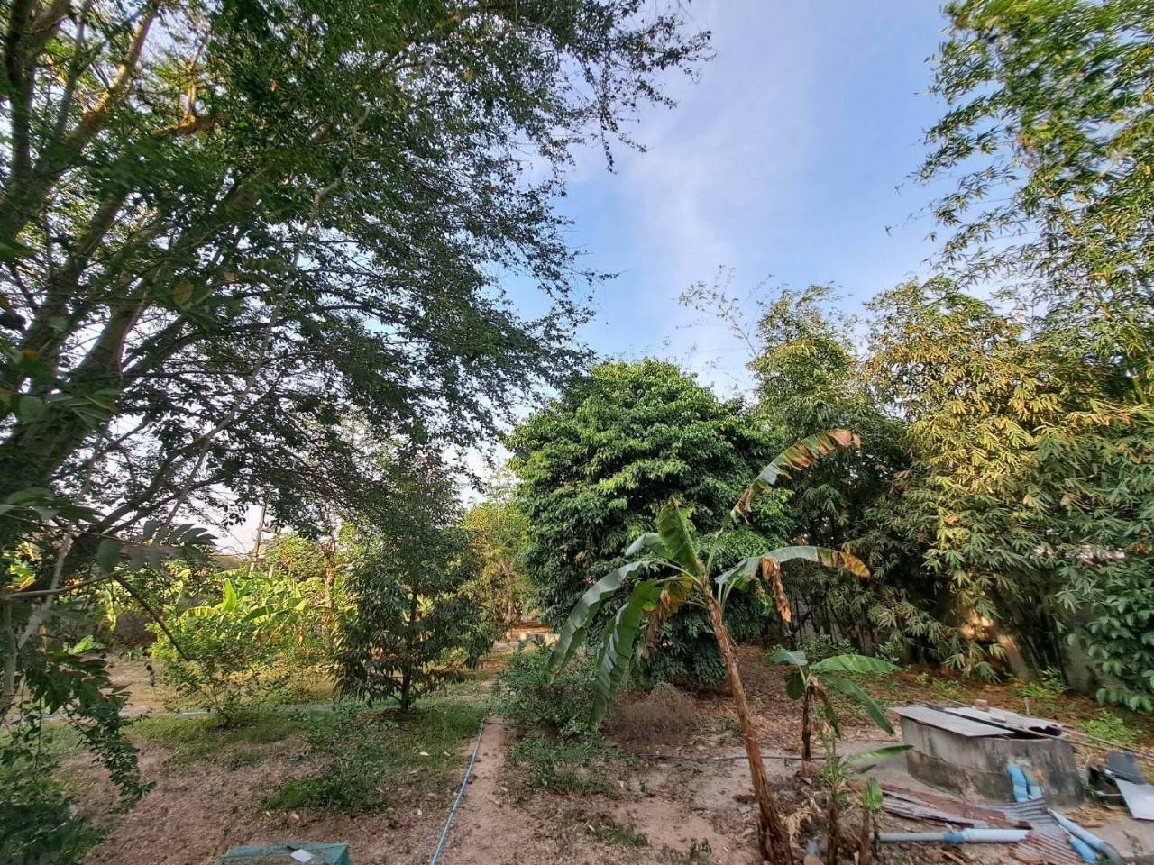 ขายที่ดินเปล่า ทำเลทอง  บนถนนสำนักอ้ายงอน  อ.นิคมพัฒนา จ.ระยอง