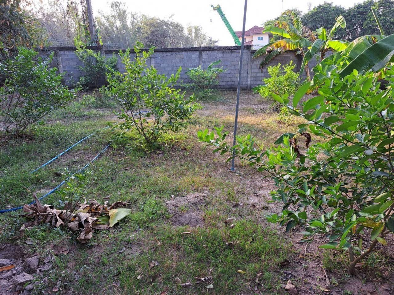 ขายที่ดินเปล่า ทำเลทอง  บนถนนสำนักอ้ายงอน  อ.นิคมพัฒนา จ.ระยอง