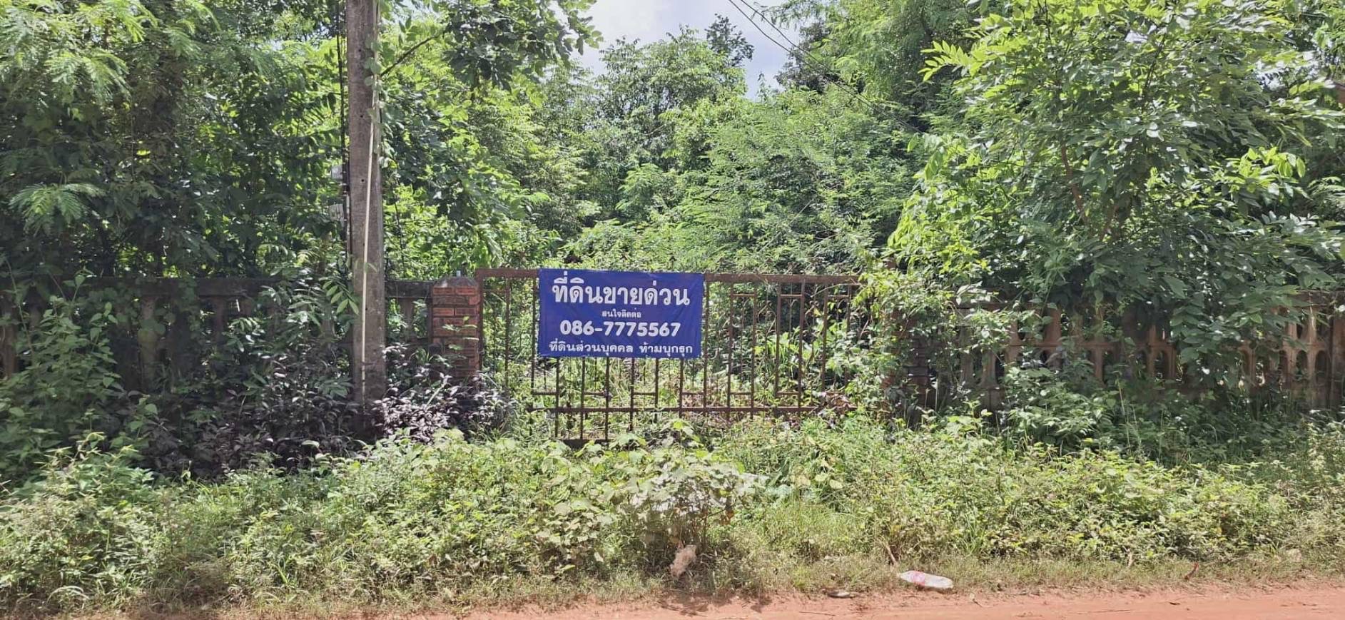 ขายที่ดินพร้อมรั้ว ทำเลดี ใกล้ โรงพยาบาลคำม่วง จังหวัดกาฬสินธุ์ 