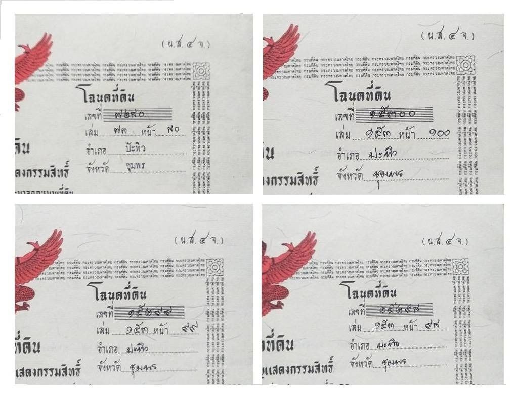 ขายสวนปาล์มน้ำมันและยางพารา ติดคลองลำห้วยผ่านกลางแปลง อำเภอปะทิว จังหวัดชุมพร