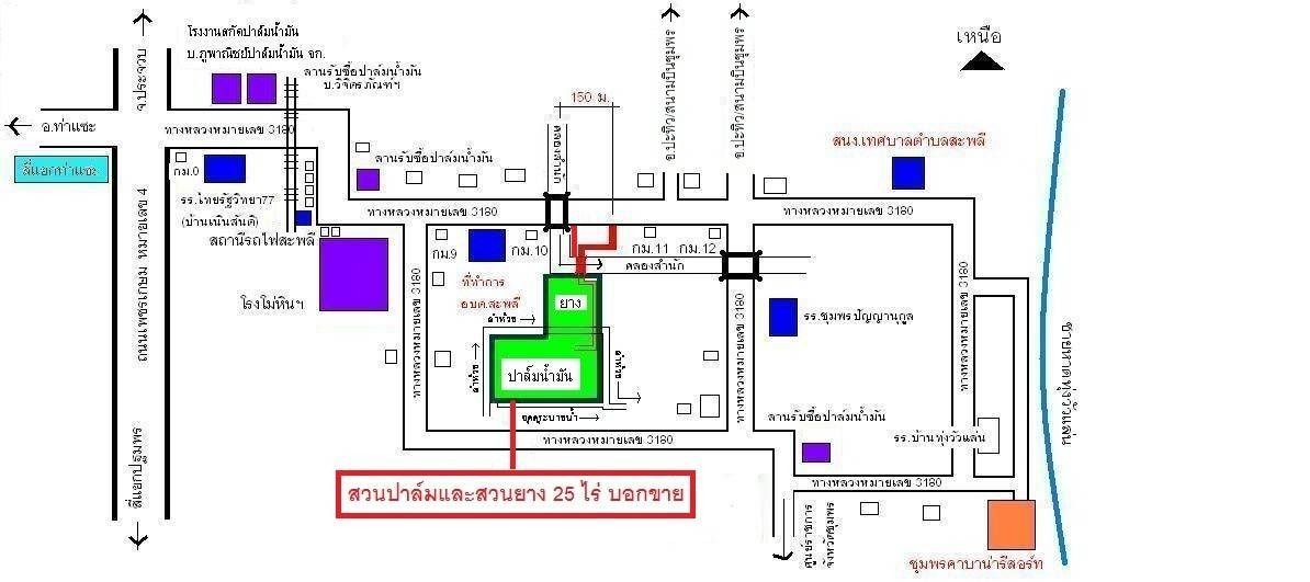 ขายสวนปาล์มน้ำมันและยางพารา ติดคลองลำห้วยผ่านกลางแปลง อำเภอปะทิว จังหวัดชุมพร