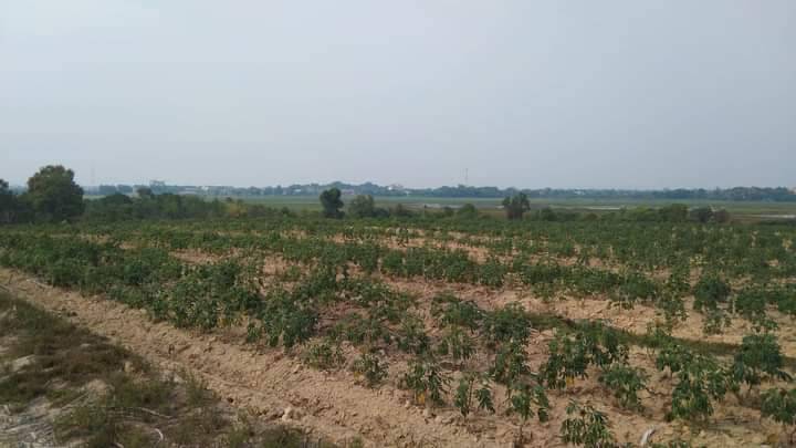 ขาย ที่ดินทำเลดี  อ.เมืองบึงกาฬ  จ. บึงกาฬ