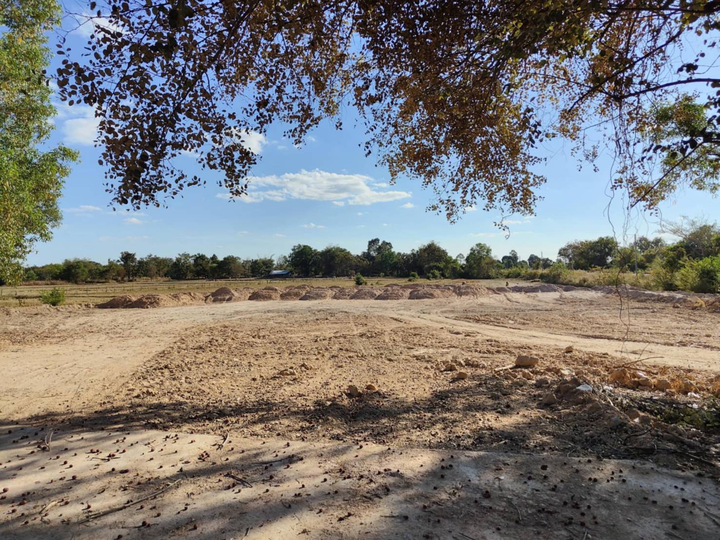 ขายที่ดินทำเลทอง บ้านหัวงัว ตำบลกำแมด อำเภอกุดชุม จังหวัดยโสธร 