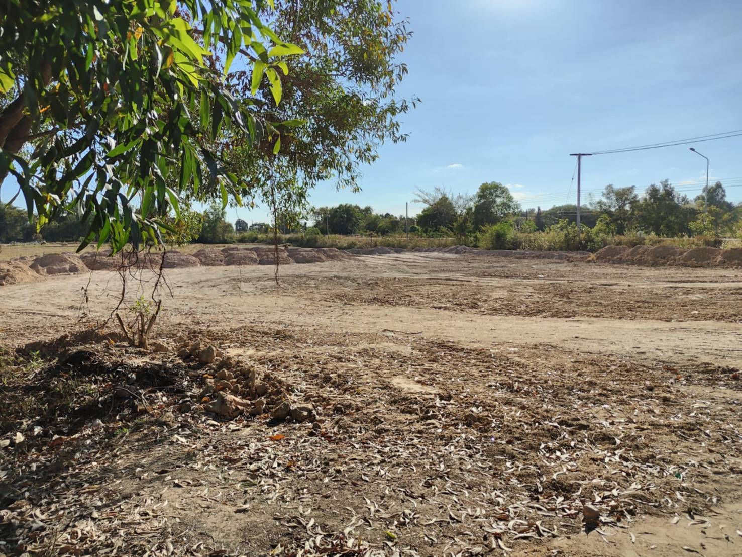 ขายที่ดินทำเลทอง บ้านหัวงัว ตำบลกำแมด อำเภอกุดชุม จังหวัดยโสธร 