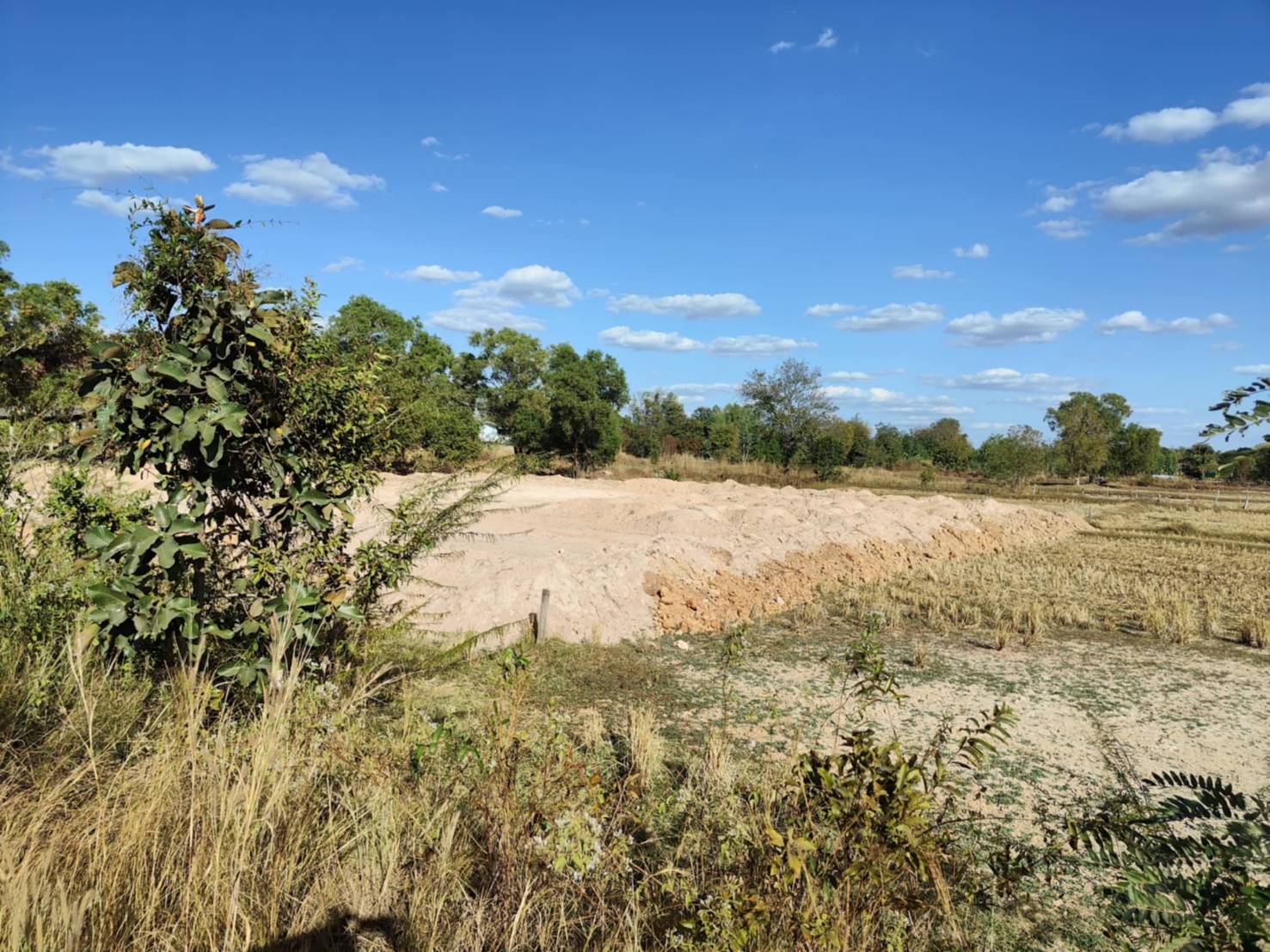 ขายที่ดินทำเลทอง บ้านหัวงัว ตำบลกำแมด อำเภอกุดชุม จังหวัดยโสธร 