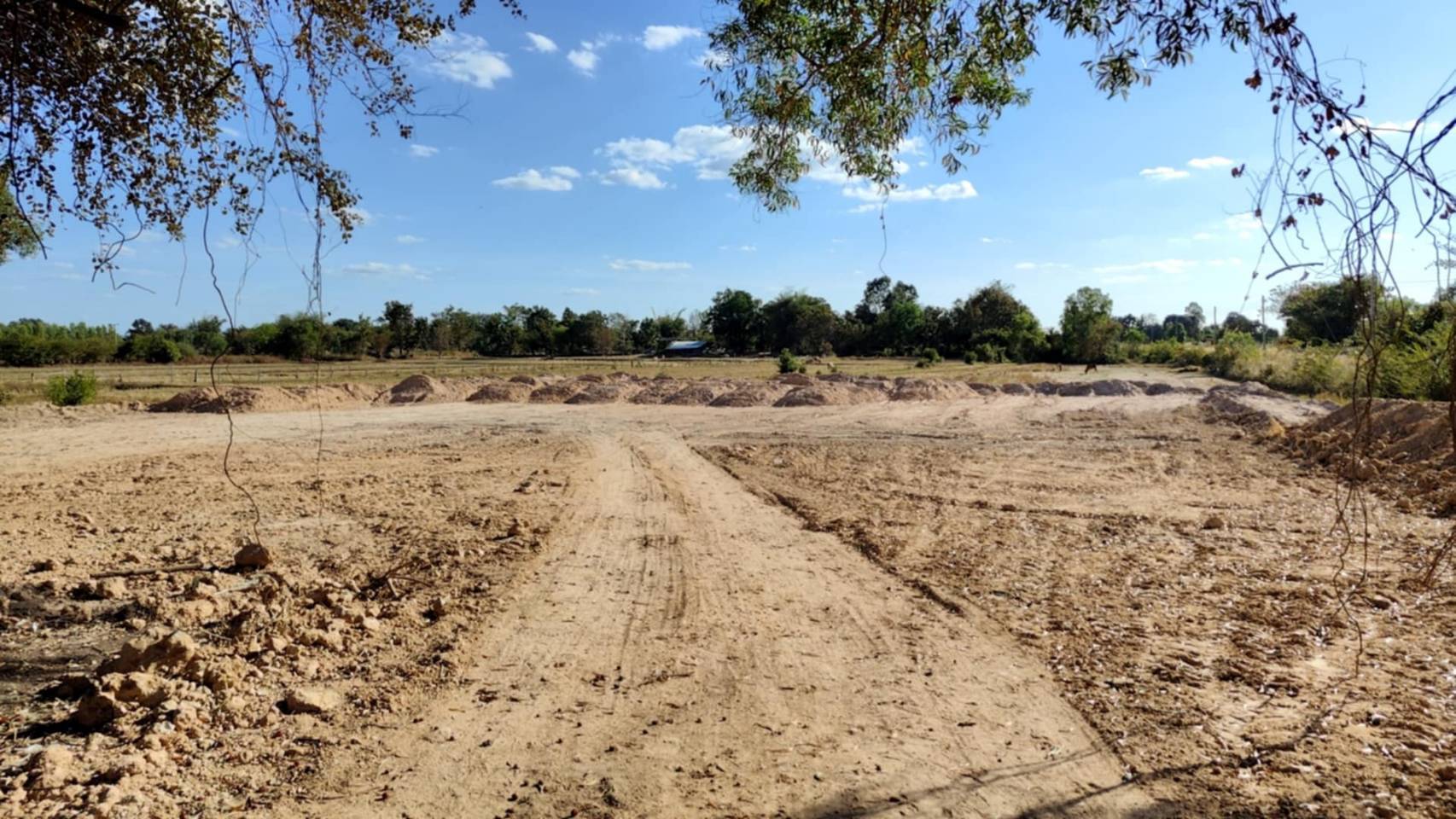 ขายที่ดินทำเลทอง บ้านหัวงัว ตำบลกำแมด อำเภอกุดชุม จังหวัดยโสธร 