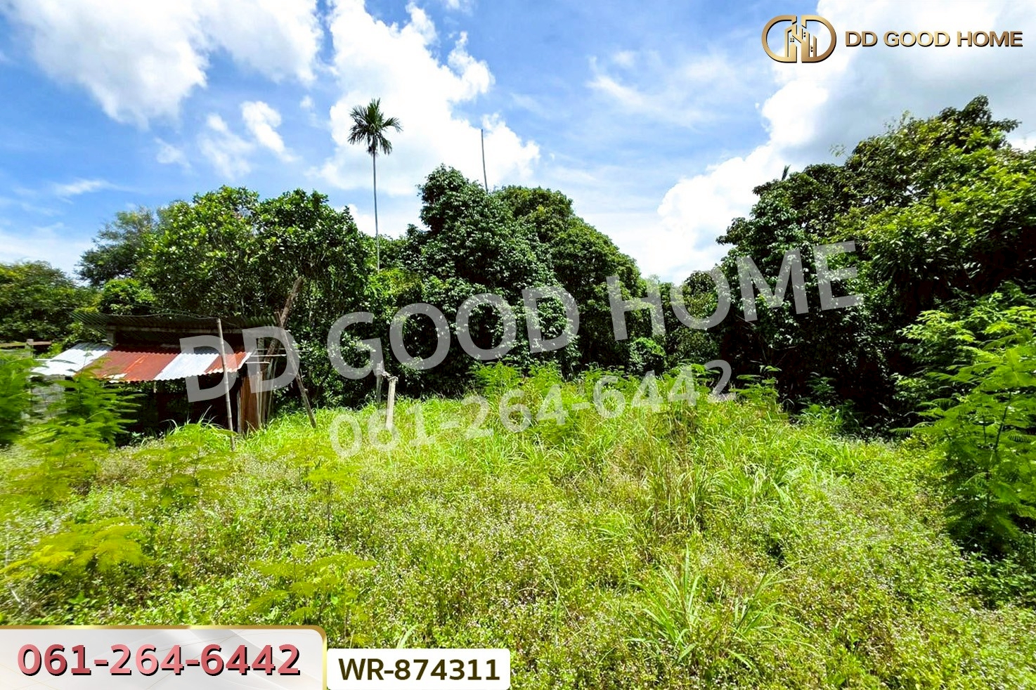 WR-874311 ที่ดินเมืองปราจีนบุรี 4 ไร่ ใกล้โรงพยาบาลค่ายจักรพงษ์