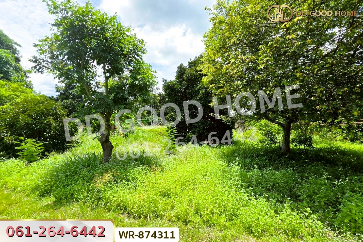 WR-874311 ที่ดินเมืองปราจีนบุรี 4 ไร่ ใกล้โรงพยาบาลค่ายจักรพงษ์