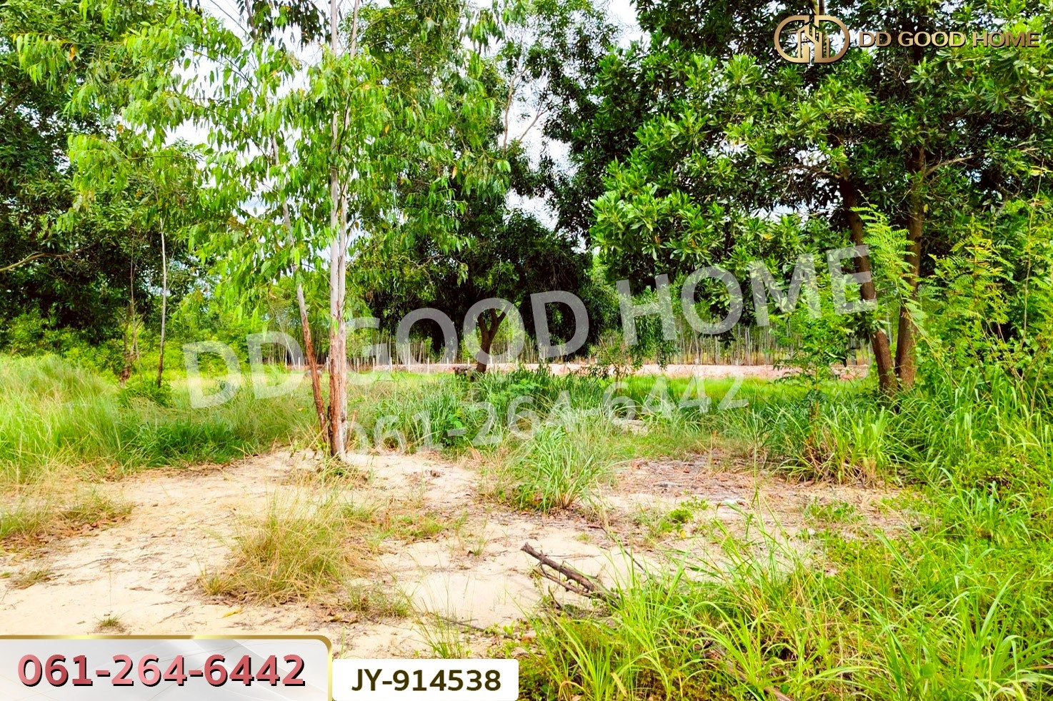 DD-914538 ที่ดินพนมสารคาม 9 ไร่ ซ.เทศบาล 1 ฉะเชิงเทรา ใกล้องค์การบริหารส่วนตำบลเขาหินซ้อน