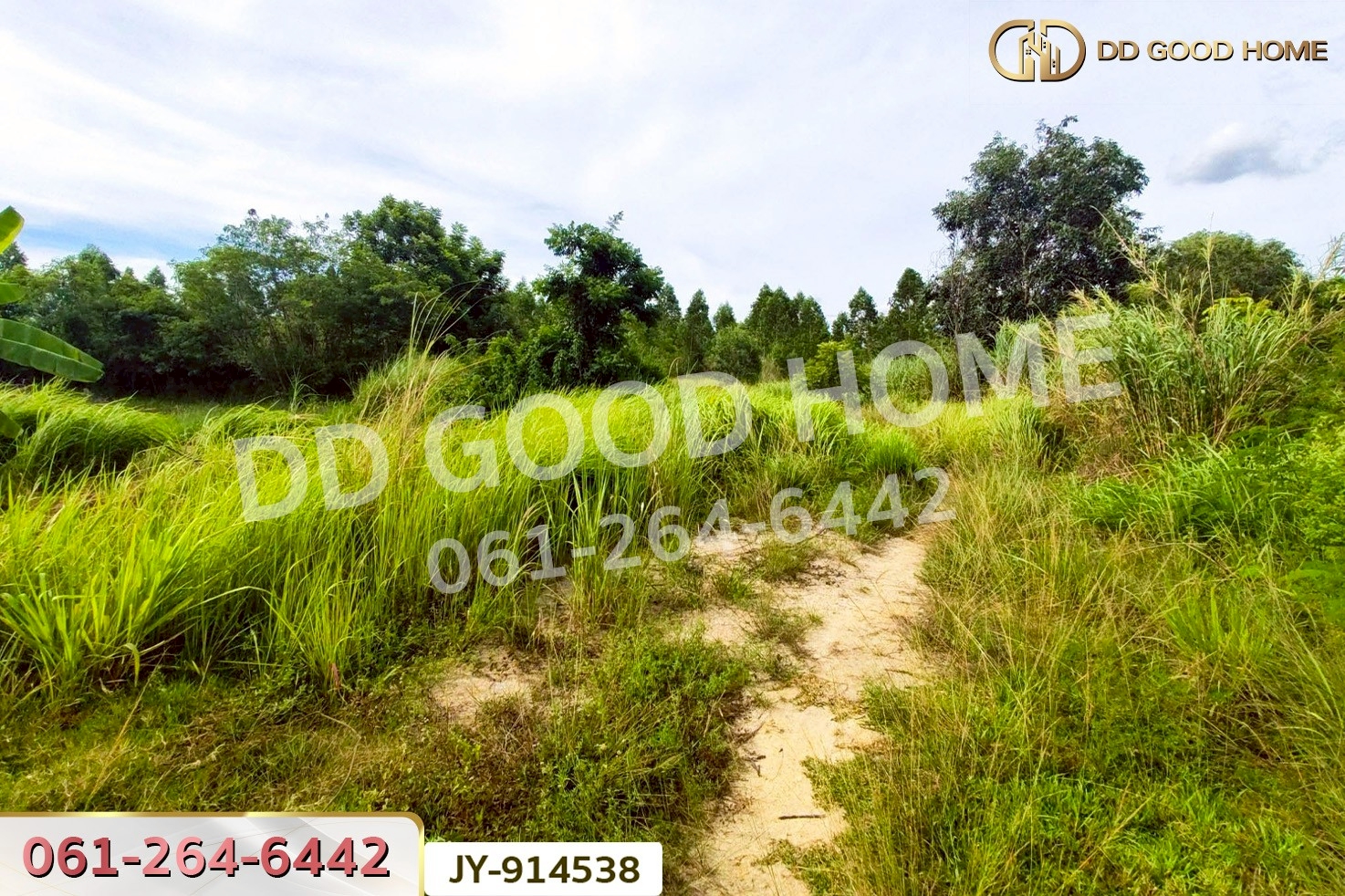 DD-914538 ที่ดินพนมสารคาม 9 ไร่ ซ.เทศบาล 1 ฉะเชิงเทรา ใกล้องค์การบริหารส่วนตำบลเขาหินซ้อน