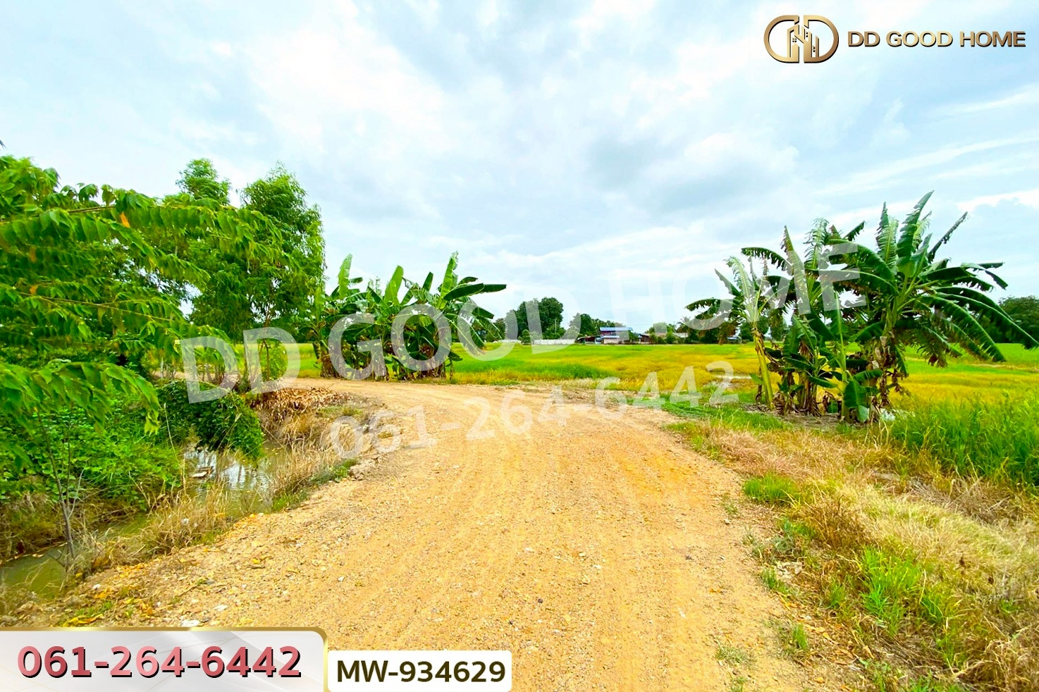 AW-934629 ที่ดินแสวงหา 5 ไร่ 337 ตร.ว. อ่างทอง ใกล้วัดบ้านพราน