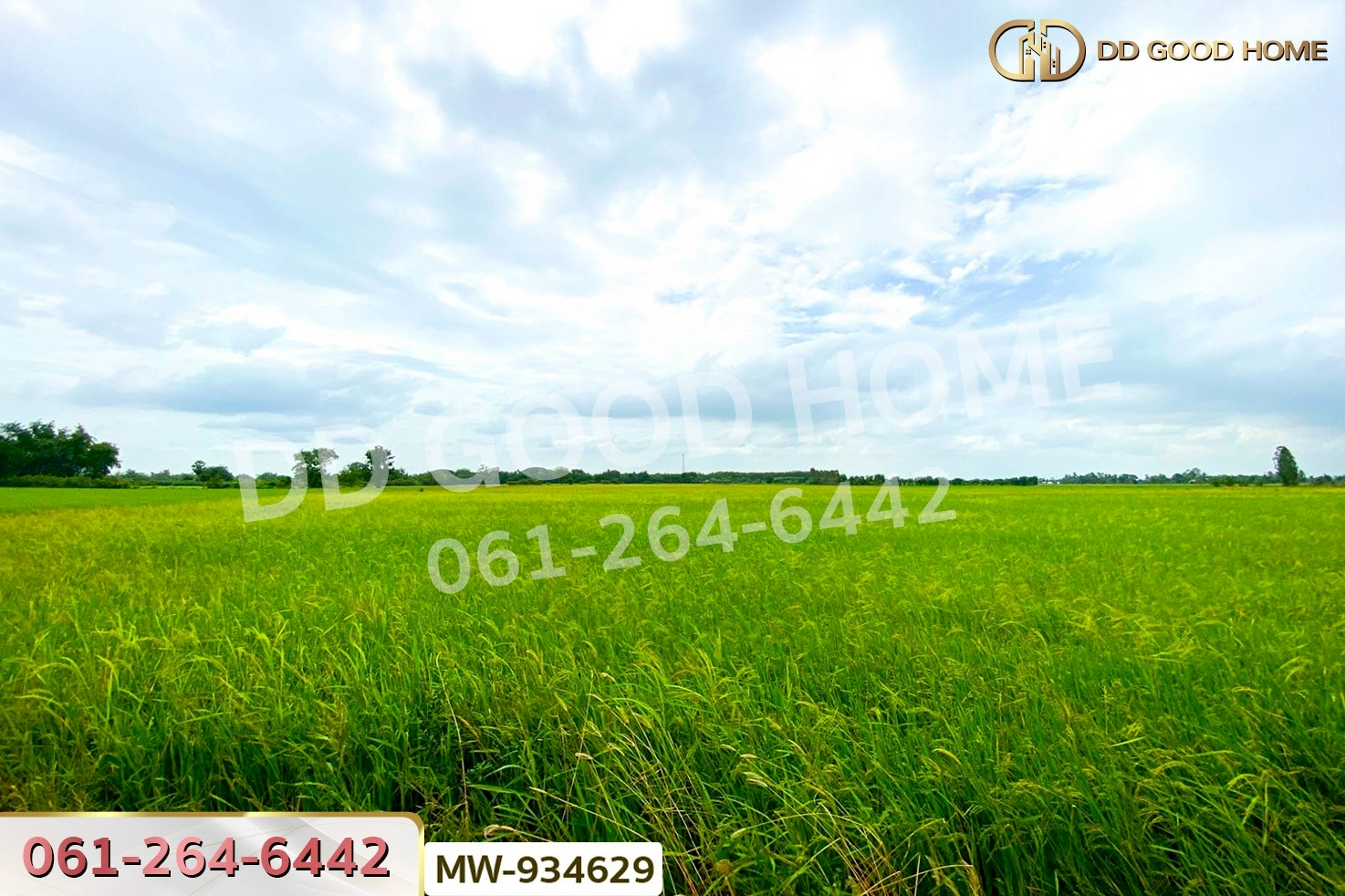 AW-934629 ที่ดินแสวงหา 5 ไร่ 337 ตร.ว. อ่างทอง ใกล้วัดบ้านพราน