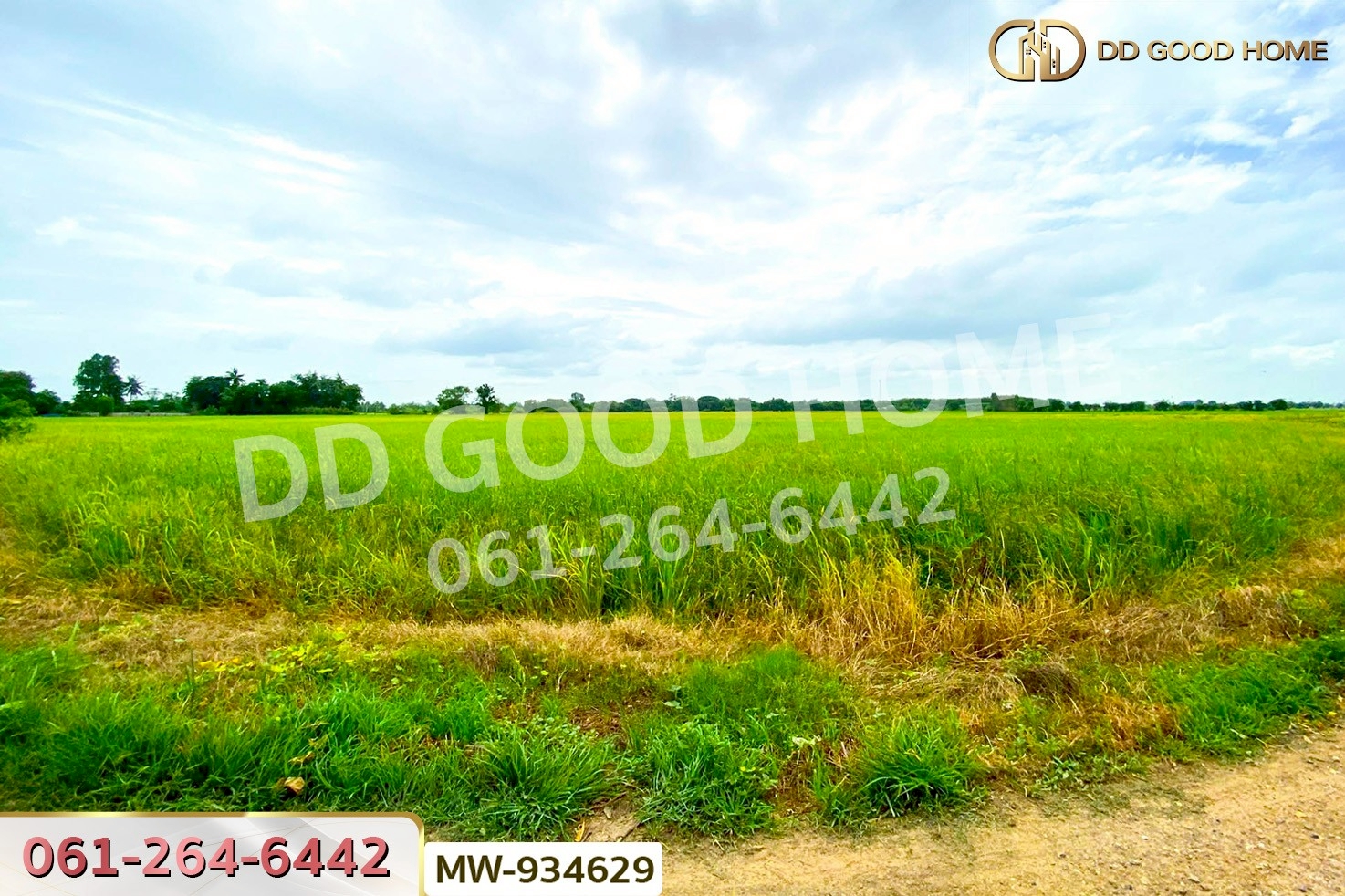 AW-934629 ที่ดินแสวงหา 5 ไร่ 337 ตร.ว. อ่างทอง ใกล้วัดบ้านพราน