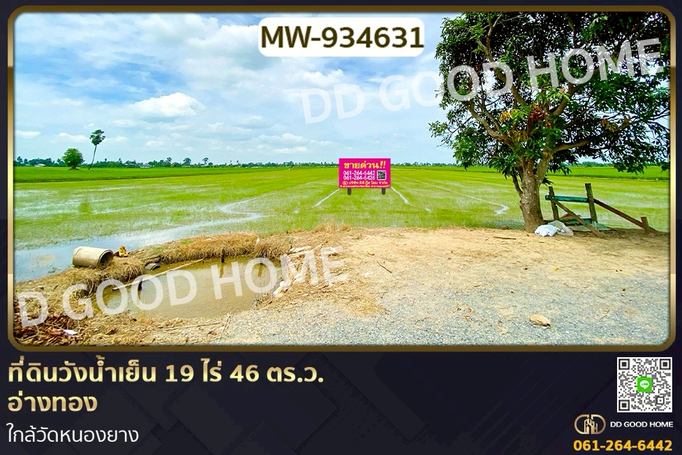 AW-934631 ที่ดินวังน้ำเย็น 19 ไร่ 46 ตร.ว. อ่างทอง ใกล้วัดหนองยาง