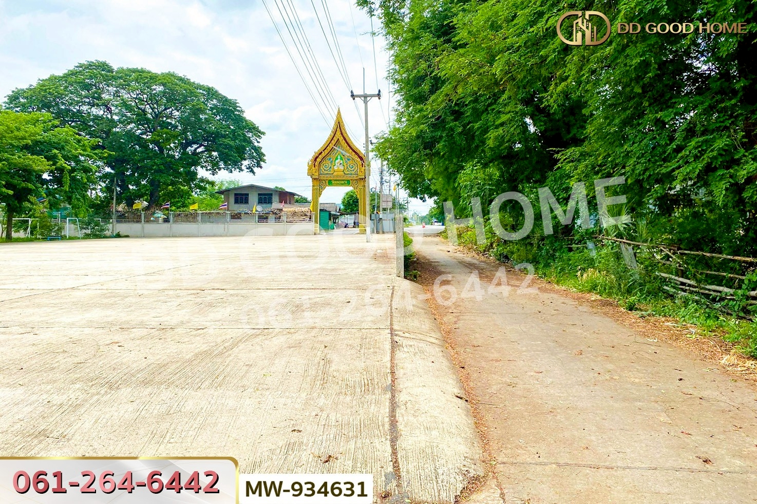 AW-934631 ที่ดินวังน้ำเย็น 19 ไร่ 46 ตร.ว. อ่างทอง ใกล้วัดหนองยาง