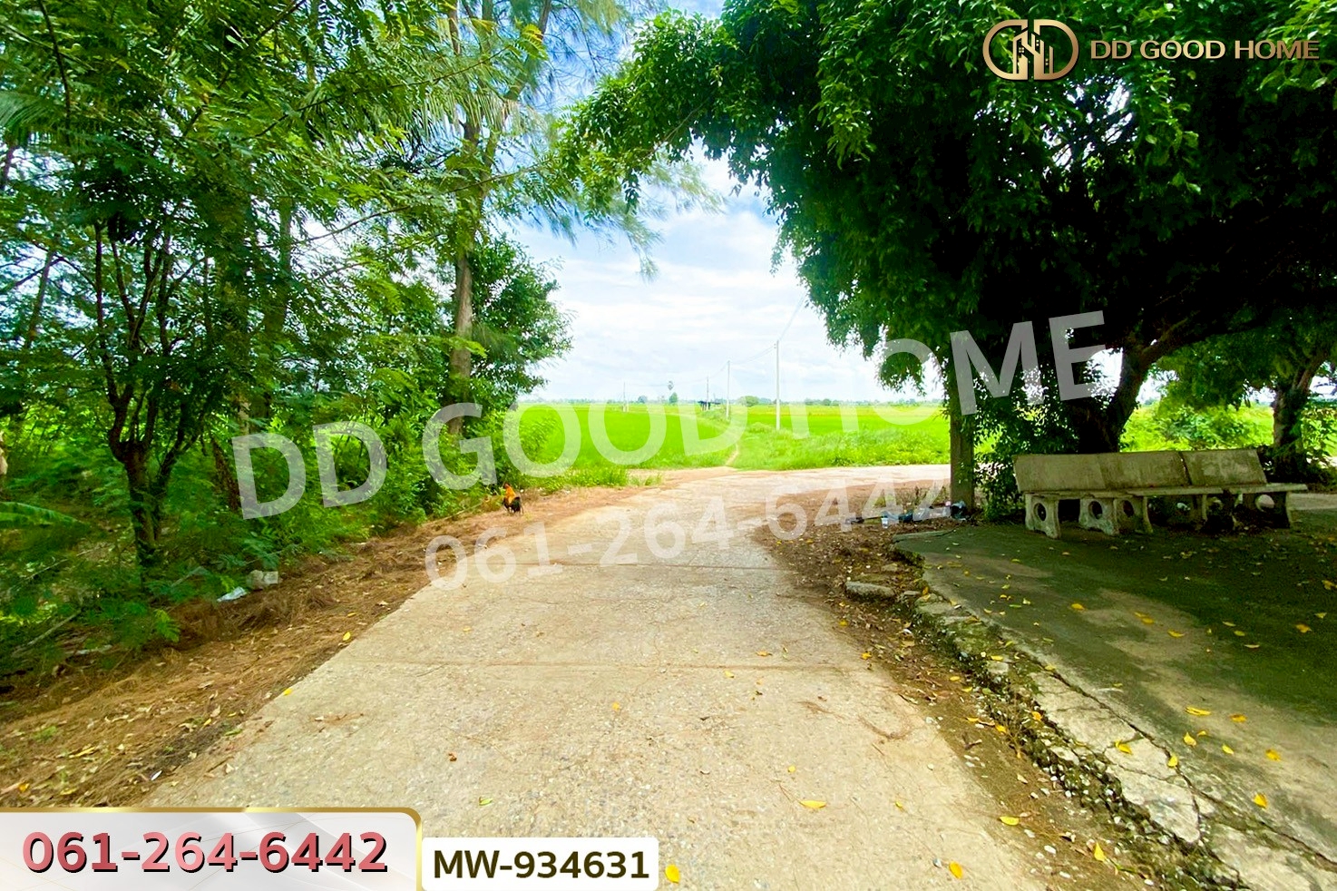 AW-934631 ที่ดินวังน้ำเย็น 19 ไร่ 46 ตร.ว. อ่างทอง ใกล้วัดหนองยาง