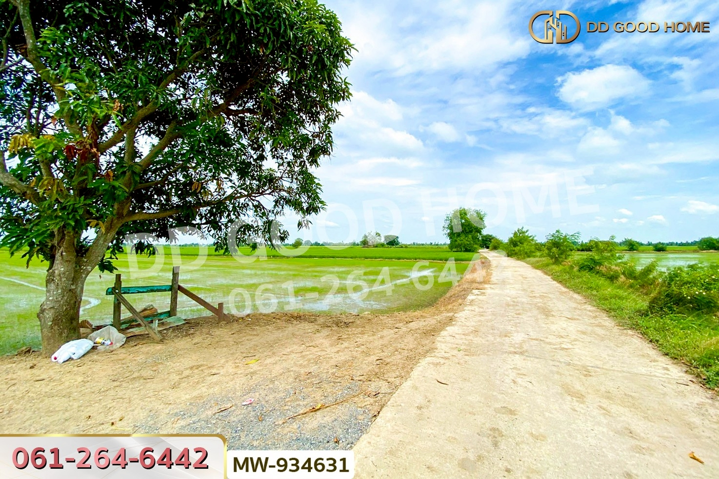 AW-934631 ที่ดินวังน้ำเย็น 19 ไร่ 46 ตร.ว. อ่างทอง ใกล้วัดหนองยาง