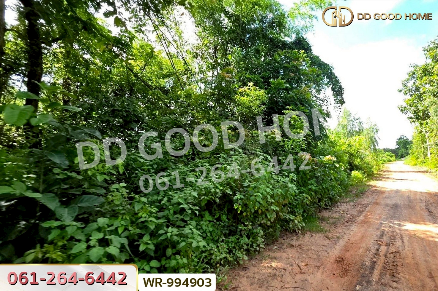 WR-994903 ที่ดินหนองนาคำ 15 ไร่ อุดรธานี ใกล้วัดป่าศิริมงคล