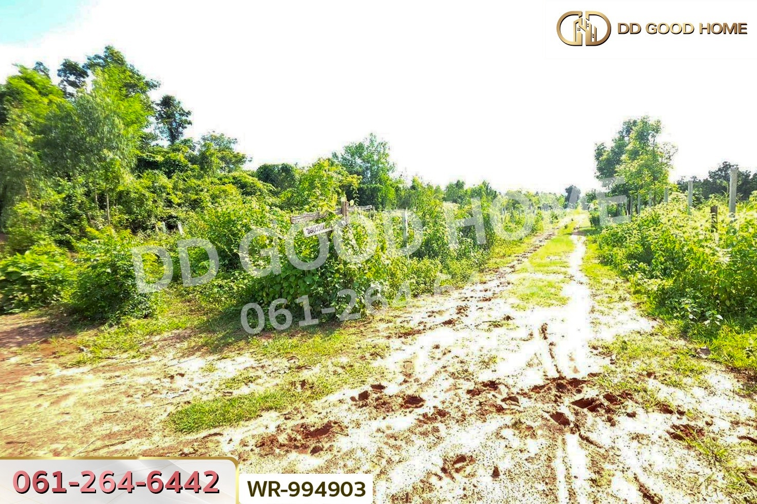 WR-994903 ที่ดินหนองนาคำ 15 ไร่ อุดรธานี ใกล้วัดป่าศิริมงคล