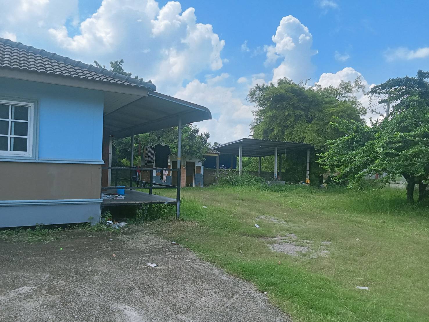 ขายที่ดินเปล่าทำเลทอง ตำบลโคกสะอาด อำเภอภูเขียว จังหวัดชัยภูมิ