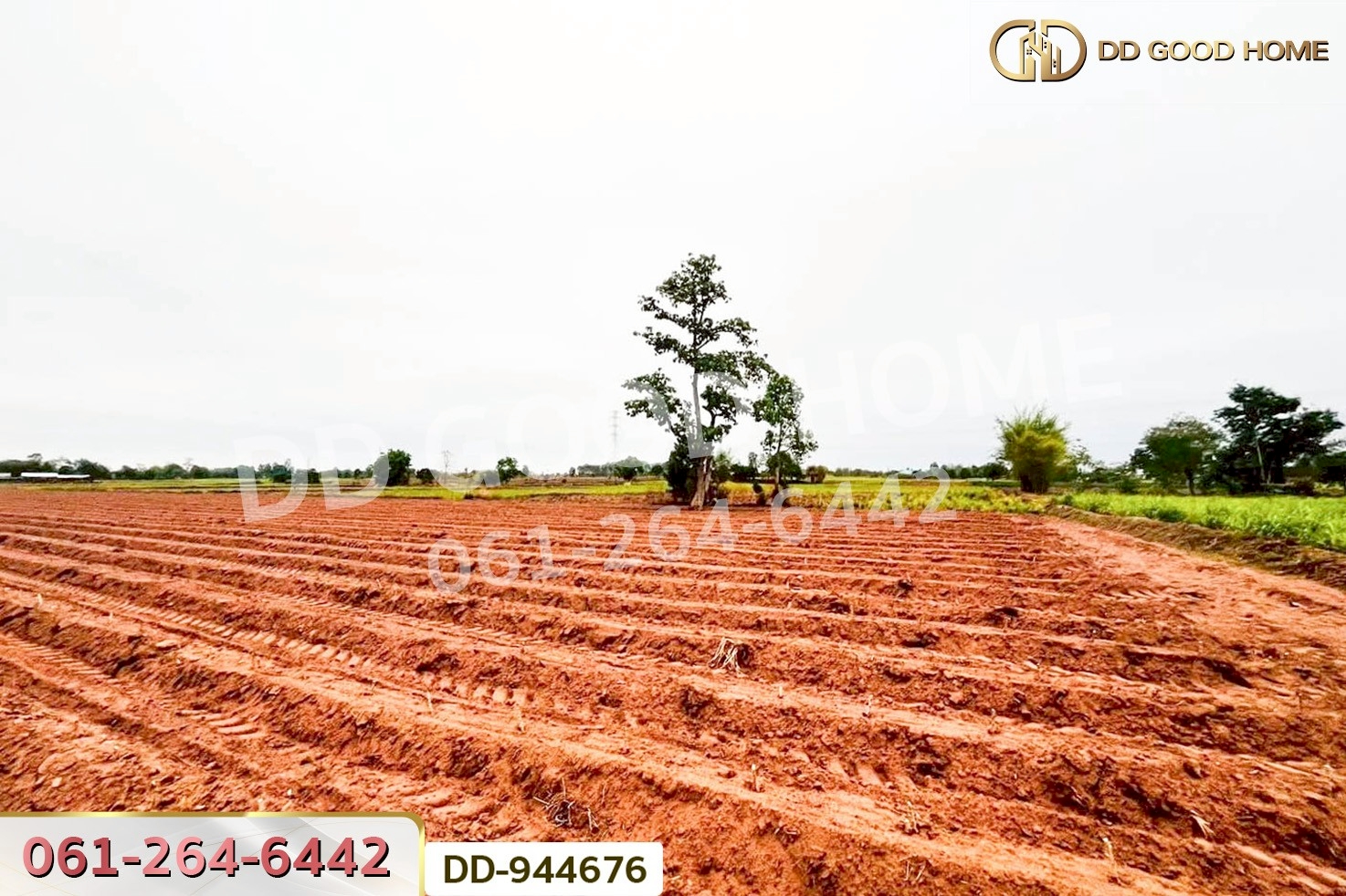 DD-944676 ที่ดินโนนสะอาด 26 ไร่ 18 ตร.ว.อุดรธานี ใกล้ที่ว่าการอำเภอโนนสะอาด