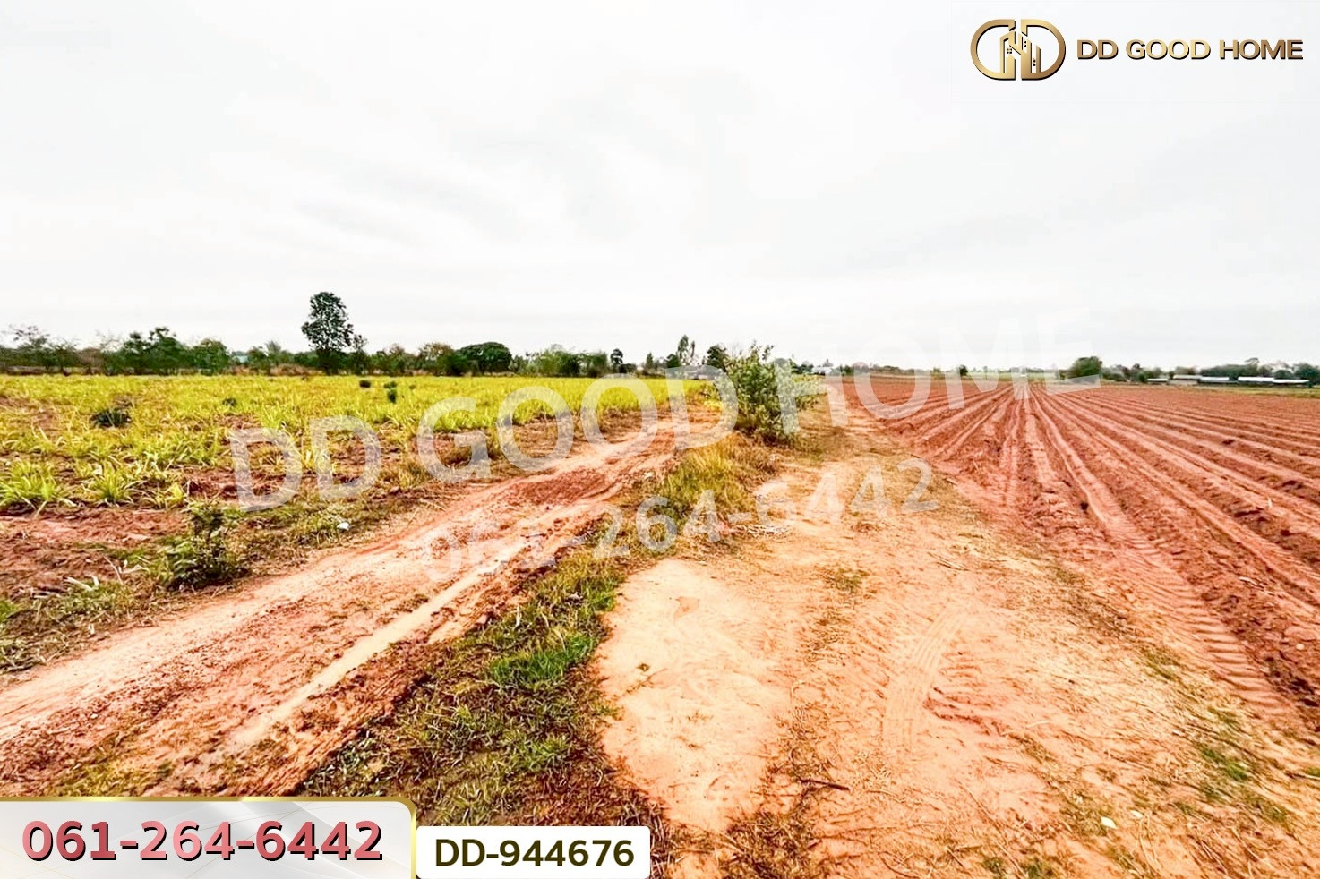 DD-944676 ที่ดินโนนสะอาด 26 ไร่ 18 ตร.ว.อุดรธานี ใกล้ที่ว่าการอำเภอโนนสะอาด