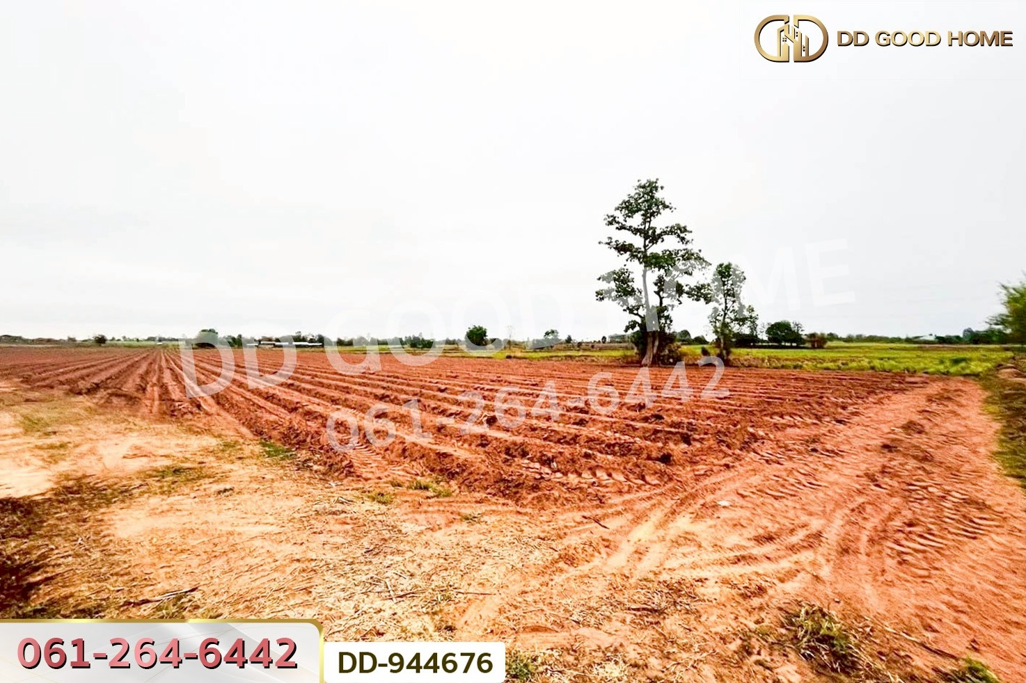 DD-944676 ที่ดินโนนสะอาด 26 ไร่ 18 ตร.ว.อุดรธานี ใกล้ที่ว่าการอำเภอโนนสะอาด