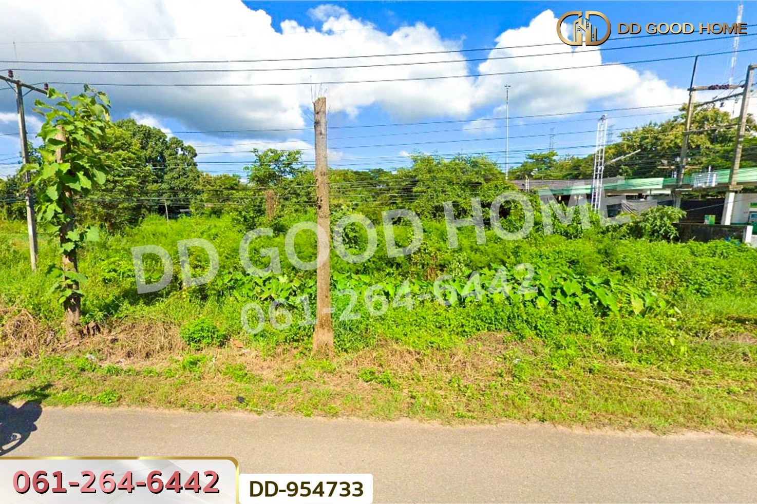 DD-954733 ที่ดินบ้านต๋อม 4 ไร่ 280.8 ตร.ว พะเยา ใกล้สถาบันวิทยาการจัดการแห่งแปซิฟิค